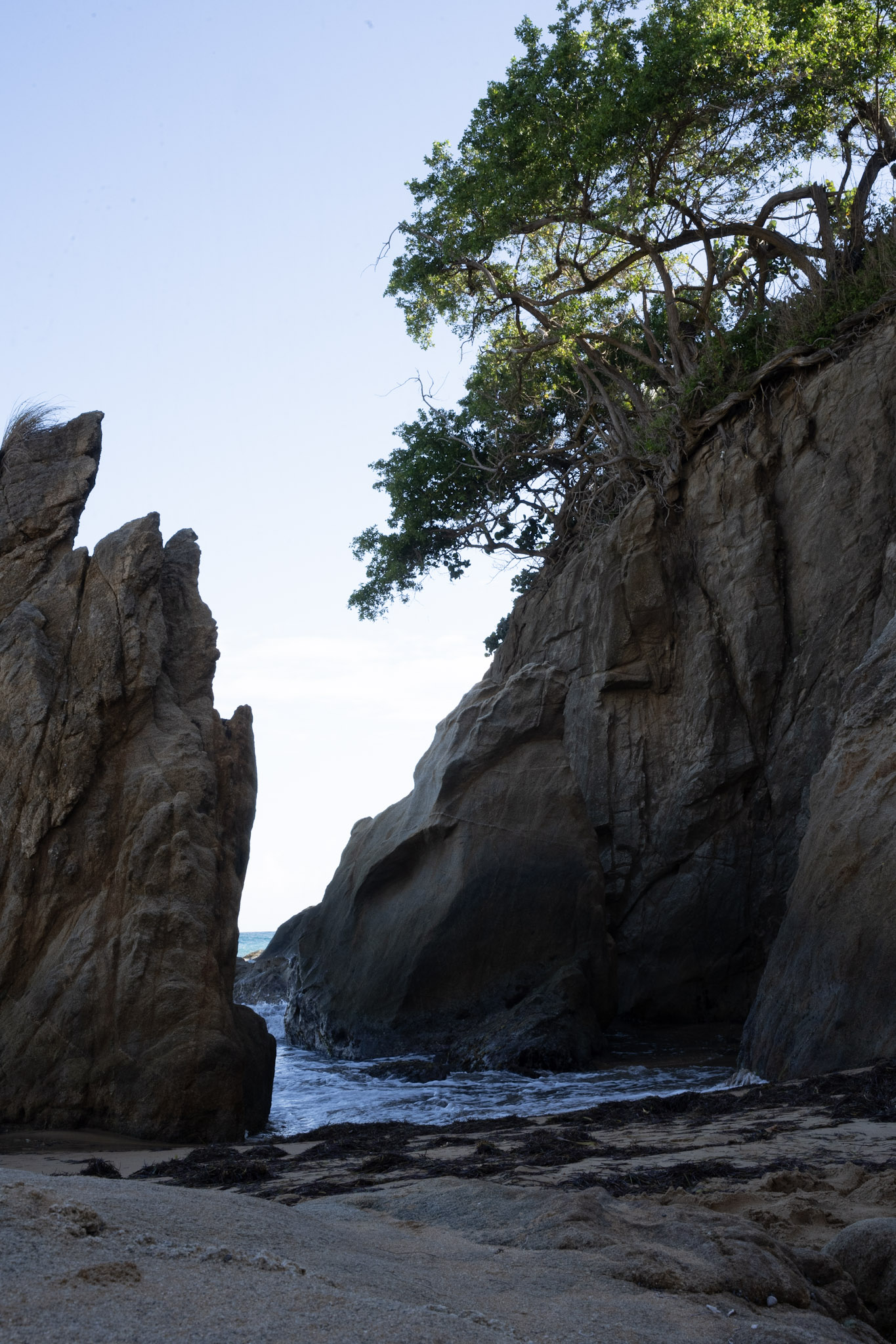 2022-01-07_Maunabo - foto 194