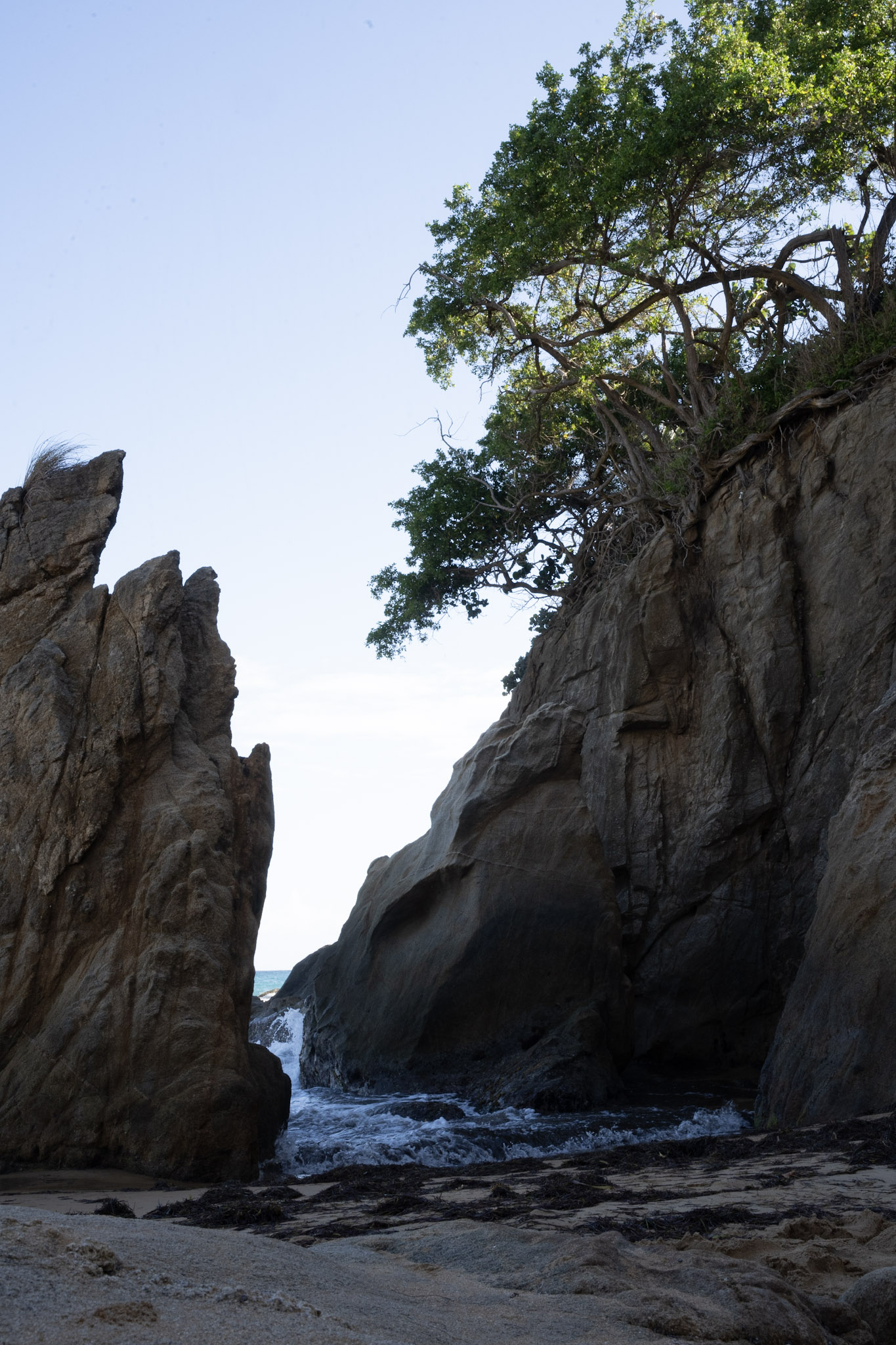 2022-01-07_Maunabo - foto 195