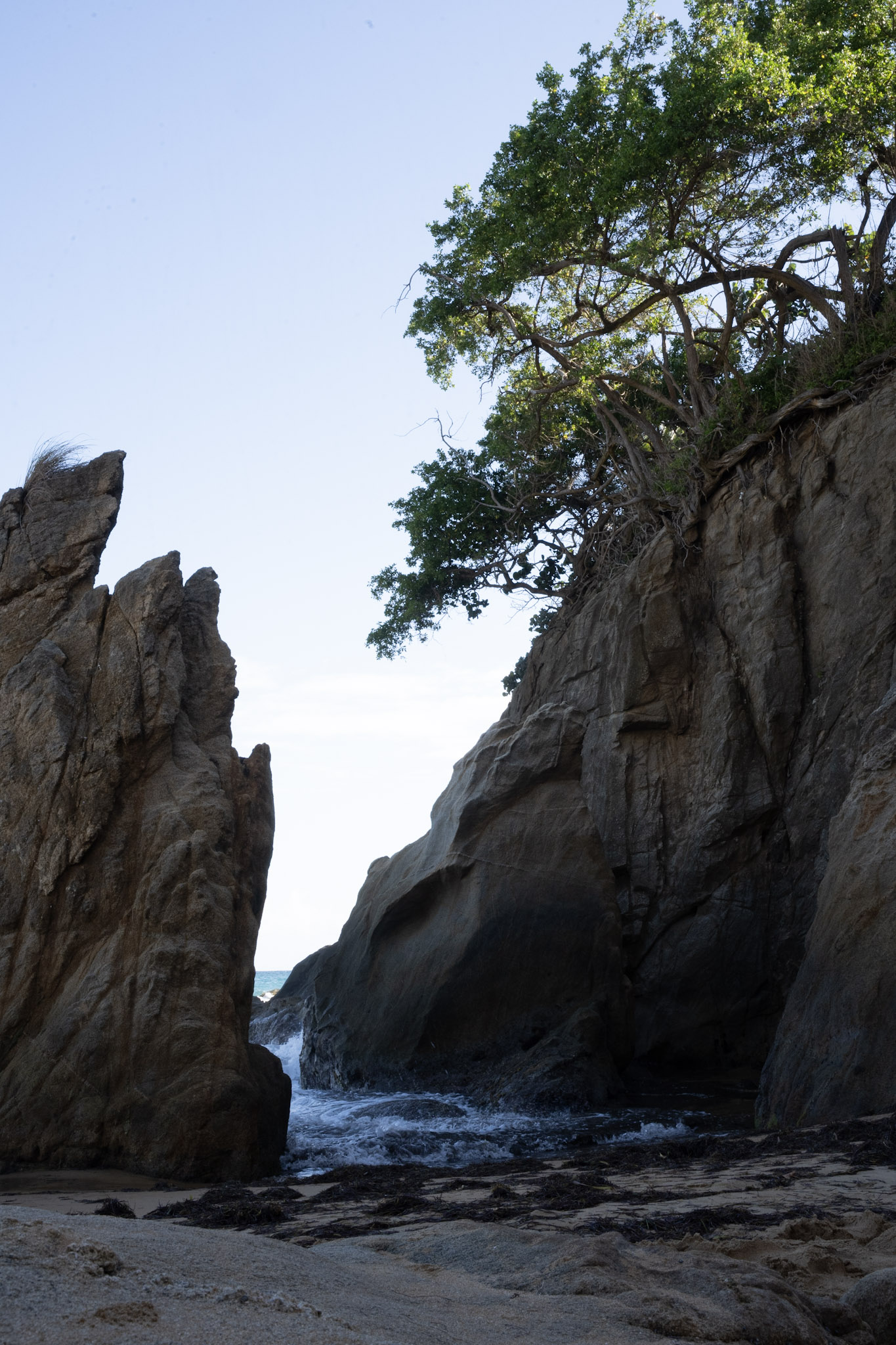 2022-01-07_Maunabo - foto 196