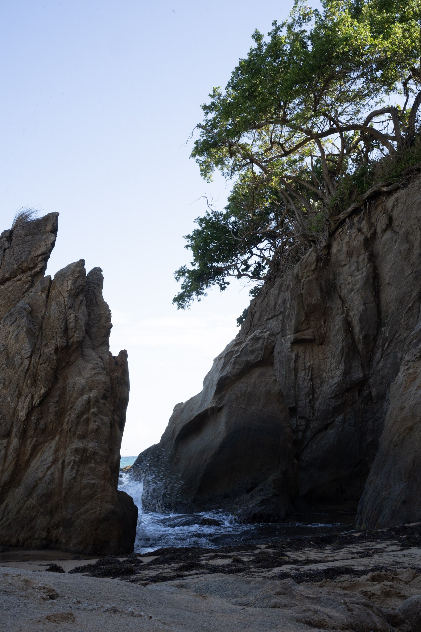 2022-01-07_Maunabo - foto 197