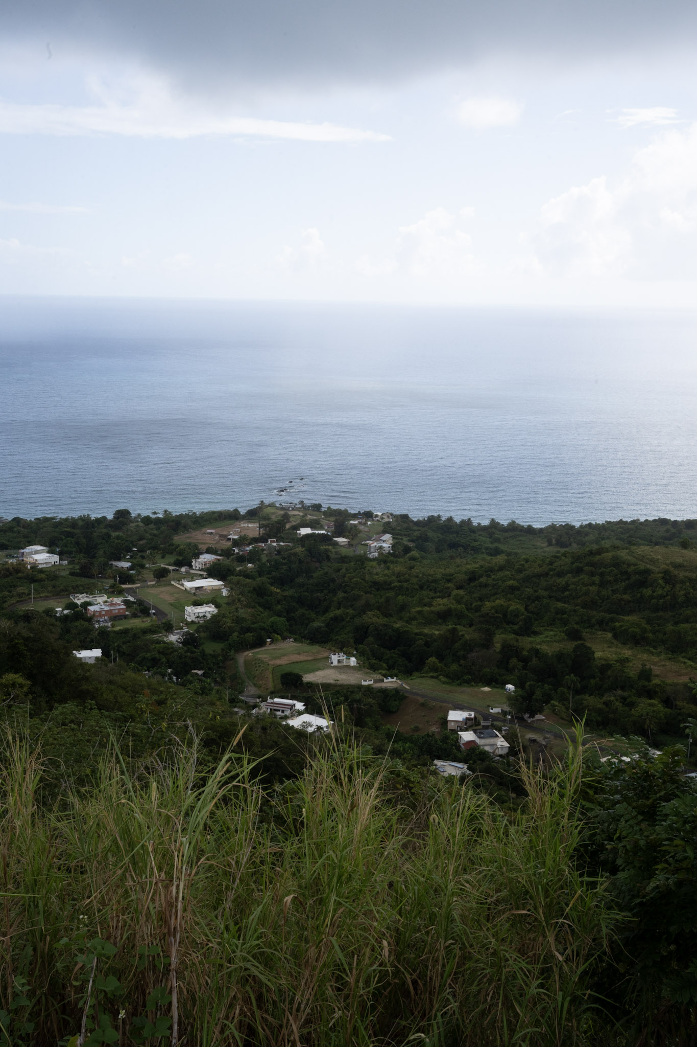 Maunabo - foto 3