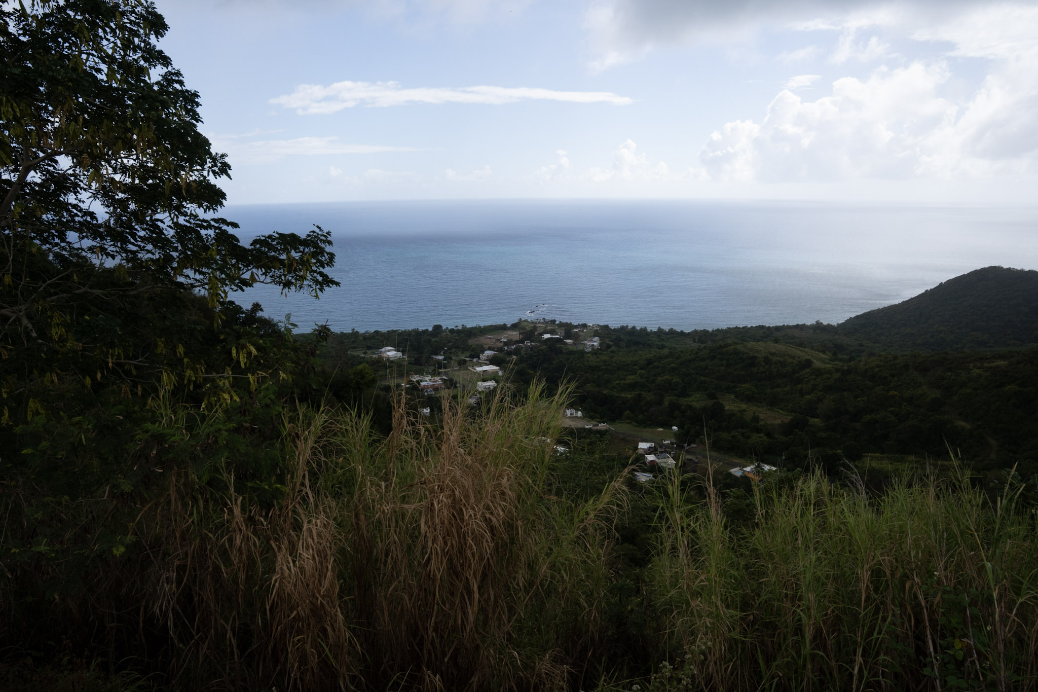 Maunabo - foto 16