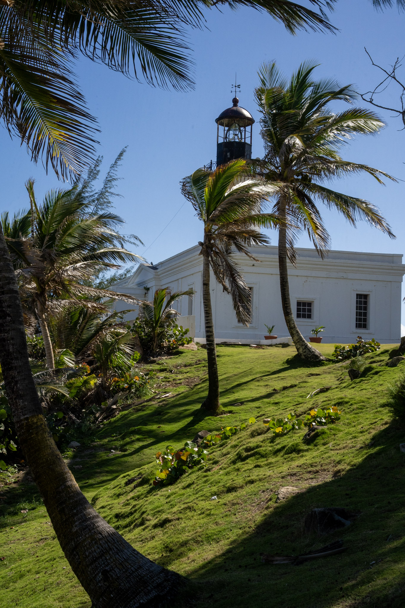 Maunabo - foto 23