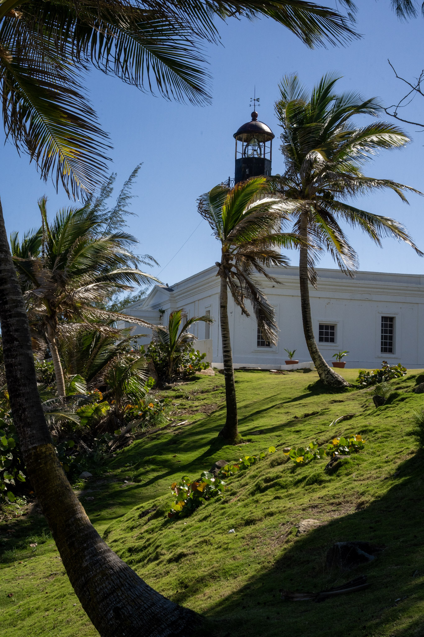 Maunabo - foto 25