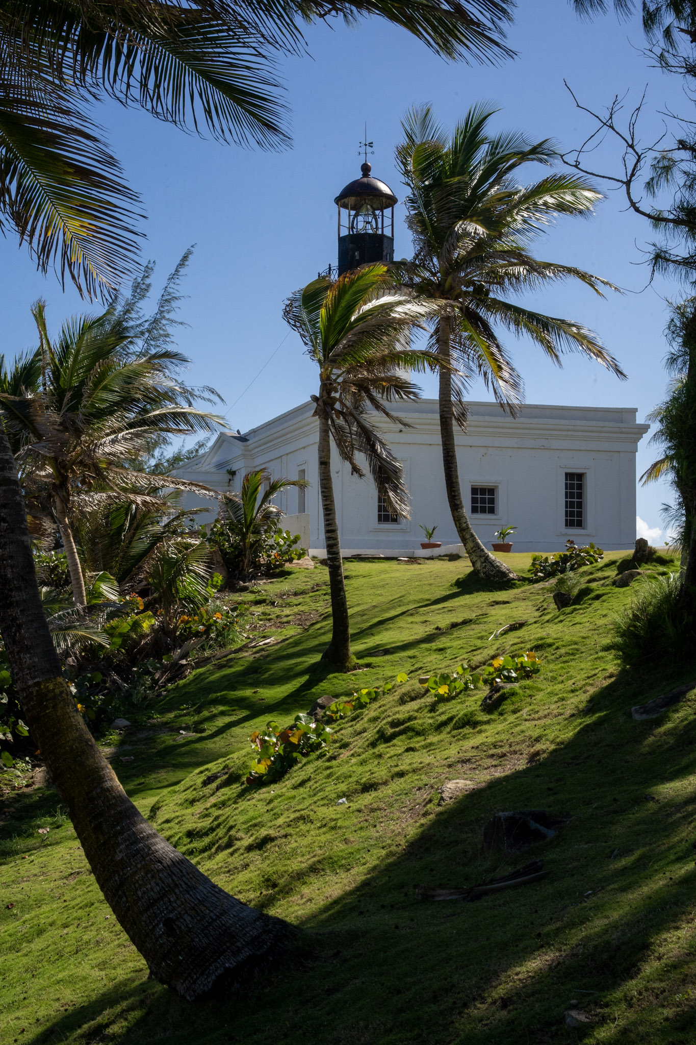 Maunabo - foto 26