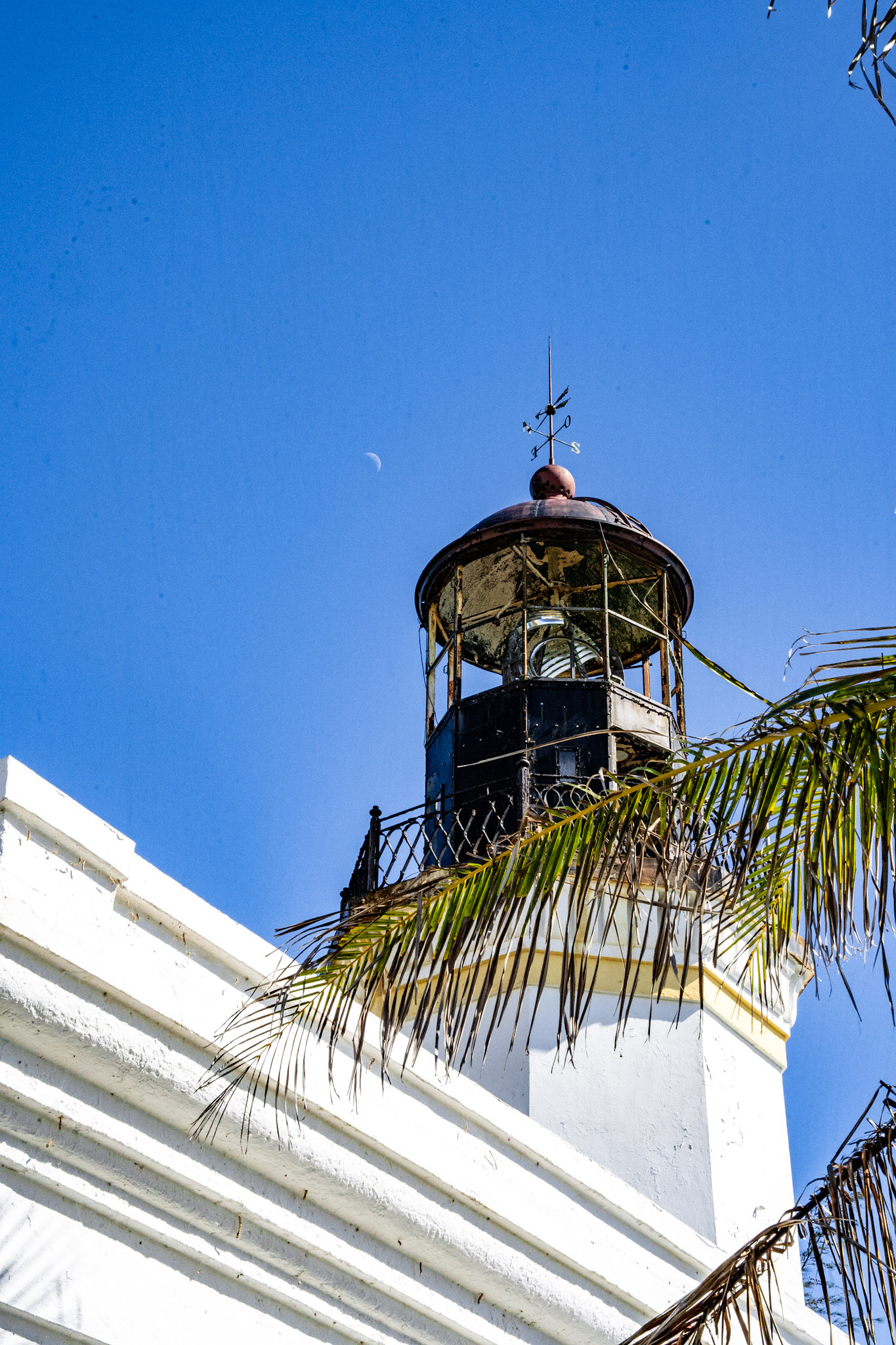 Maunabo - foto 36