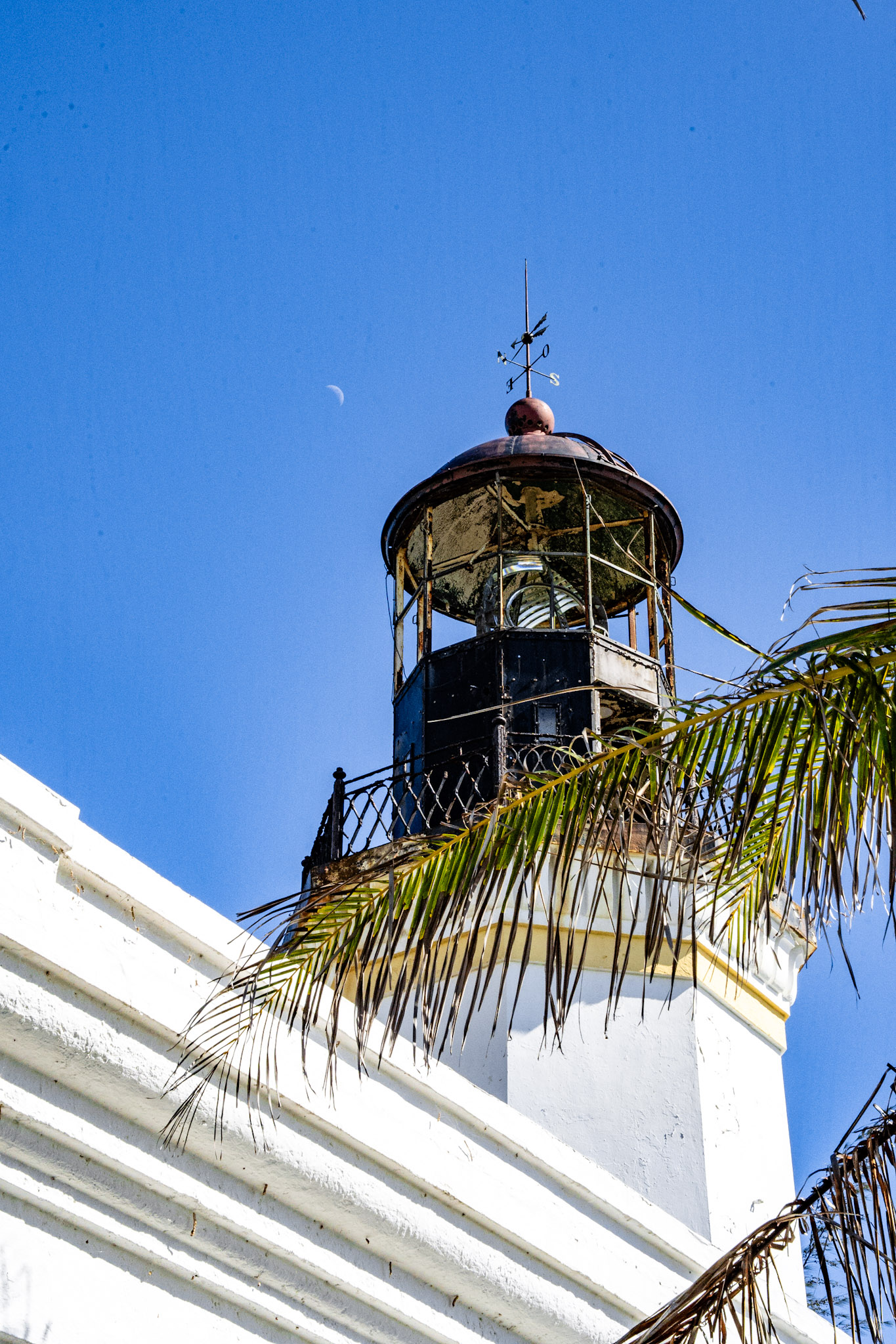 Maunabo - foto 37