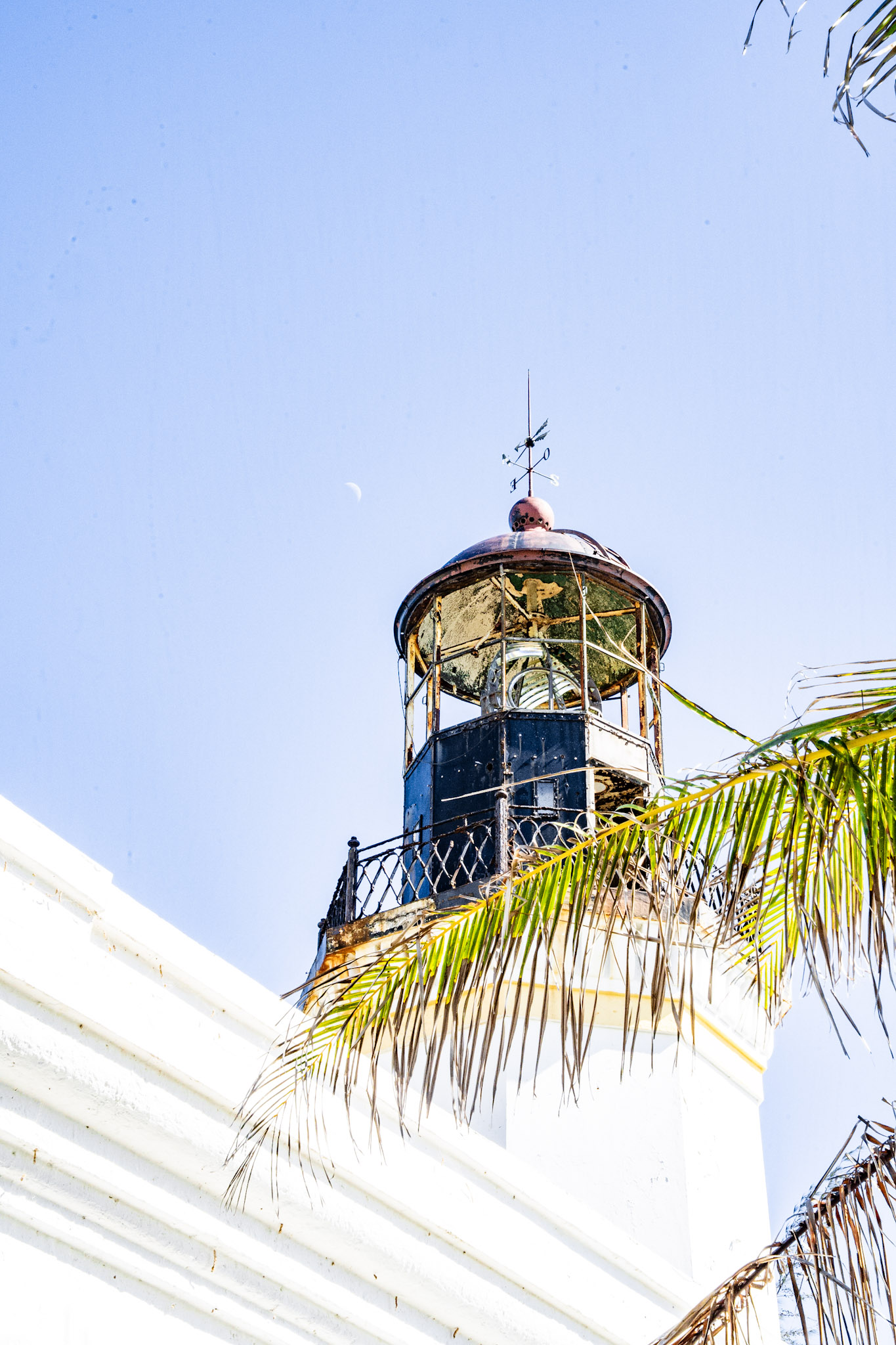Maunabo - foto 41