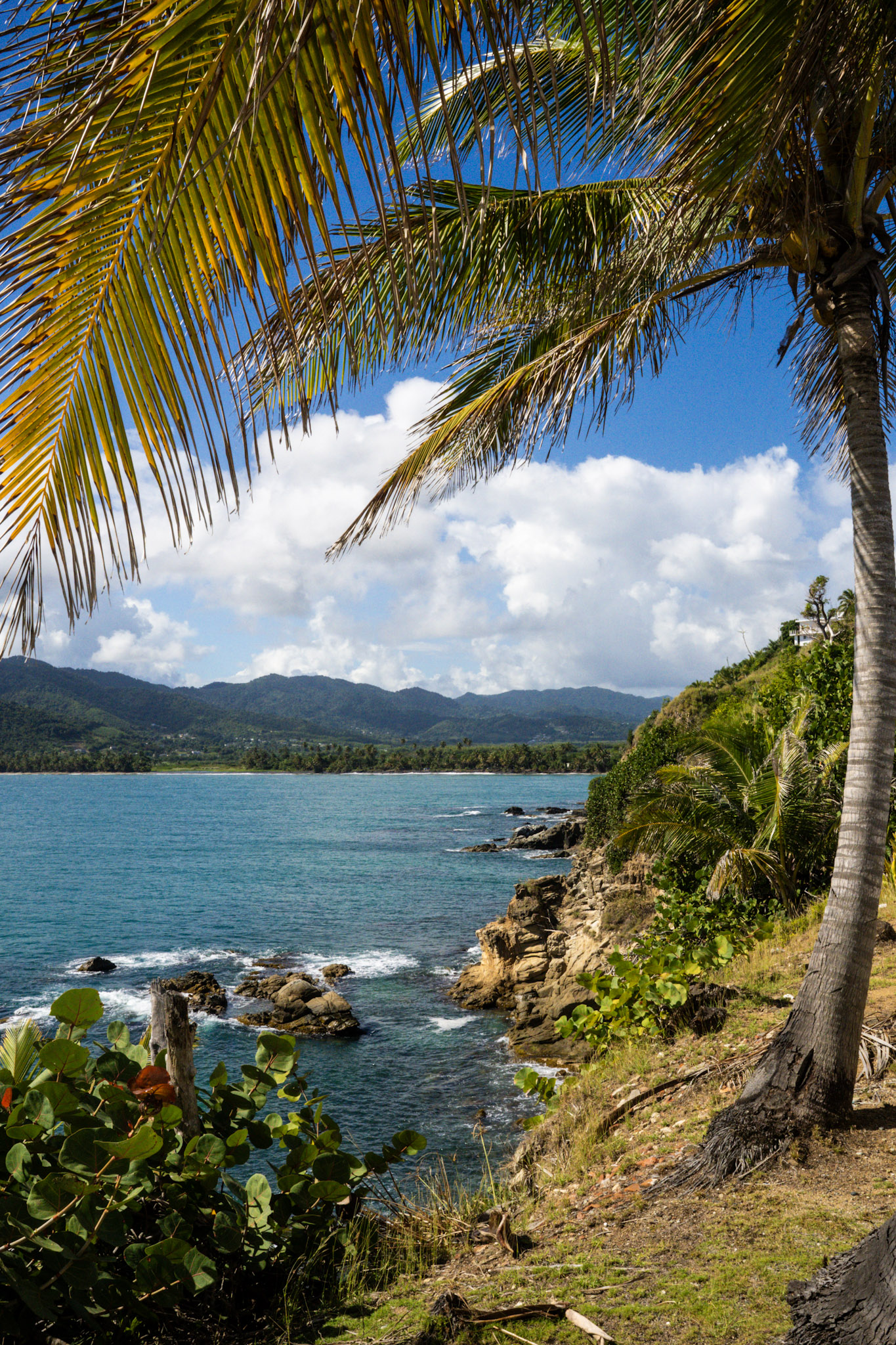 Maunabo - foto 52