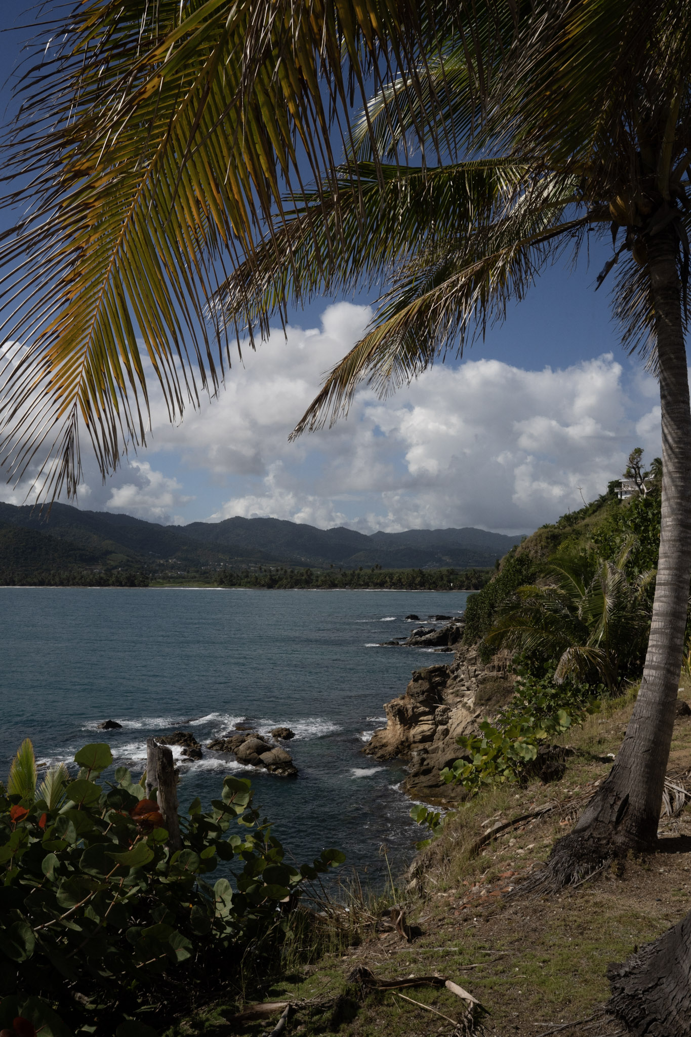 Maunabo - foto 54