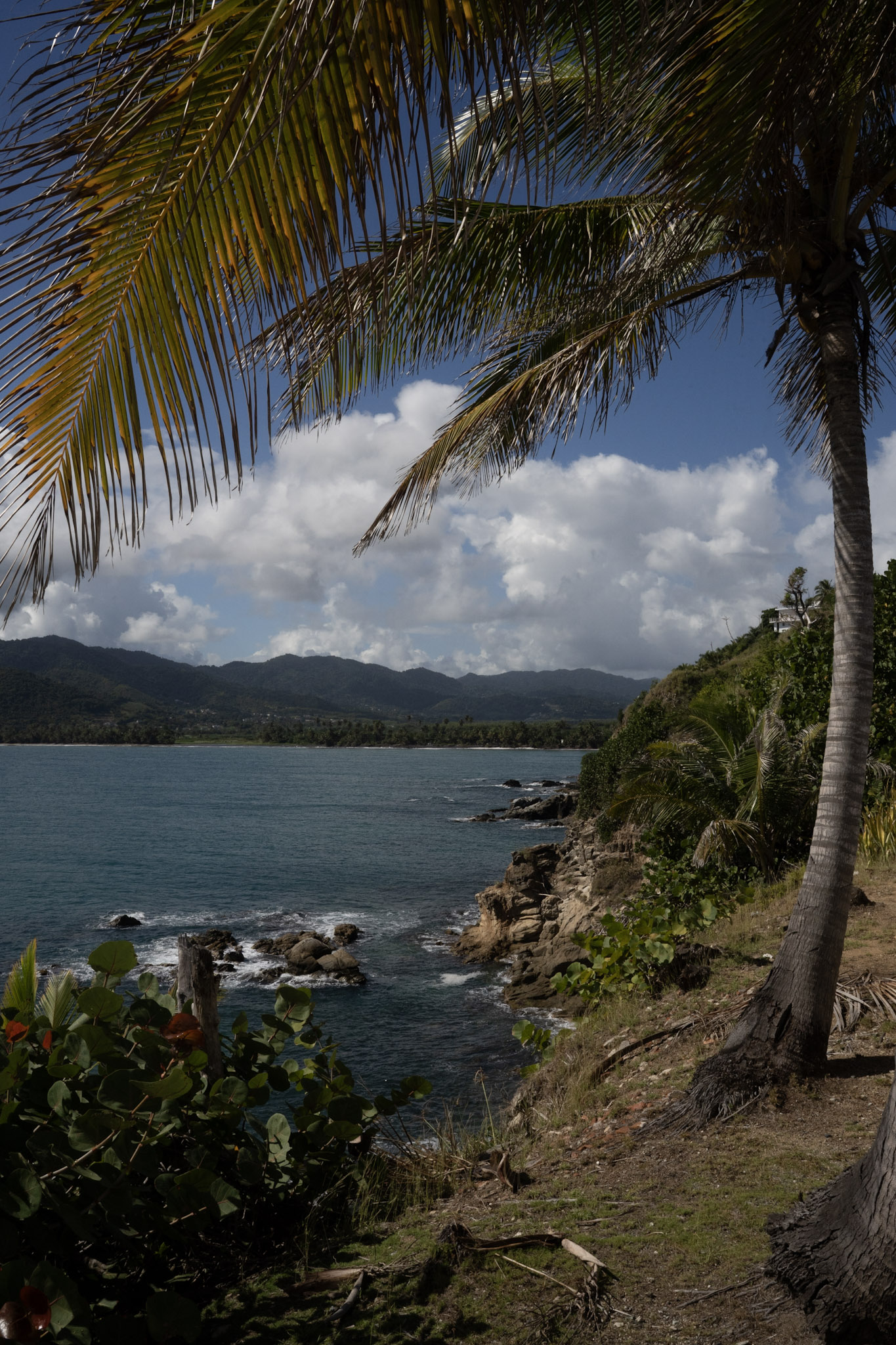 Maunabo - foto 55