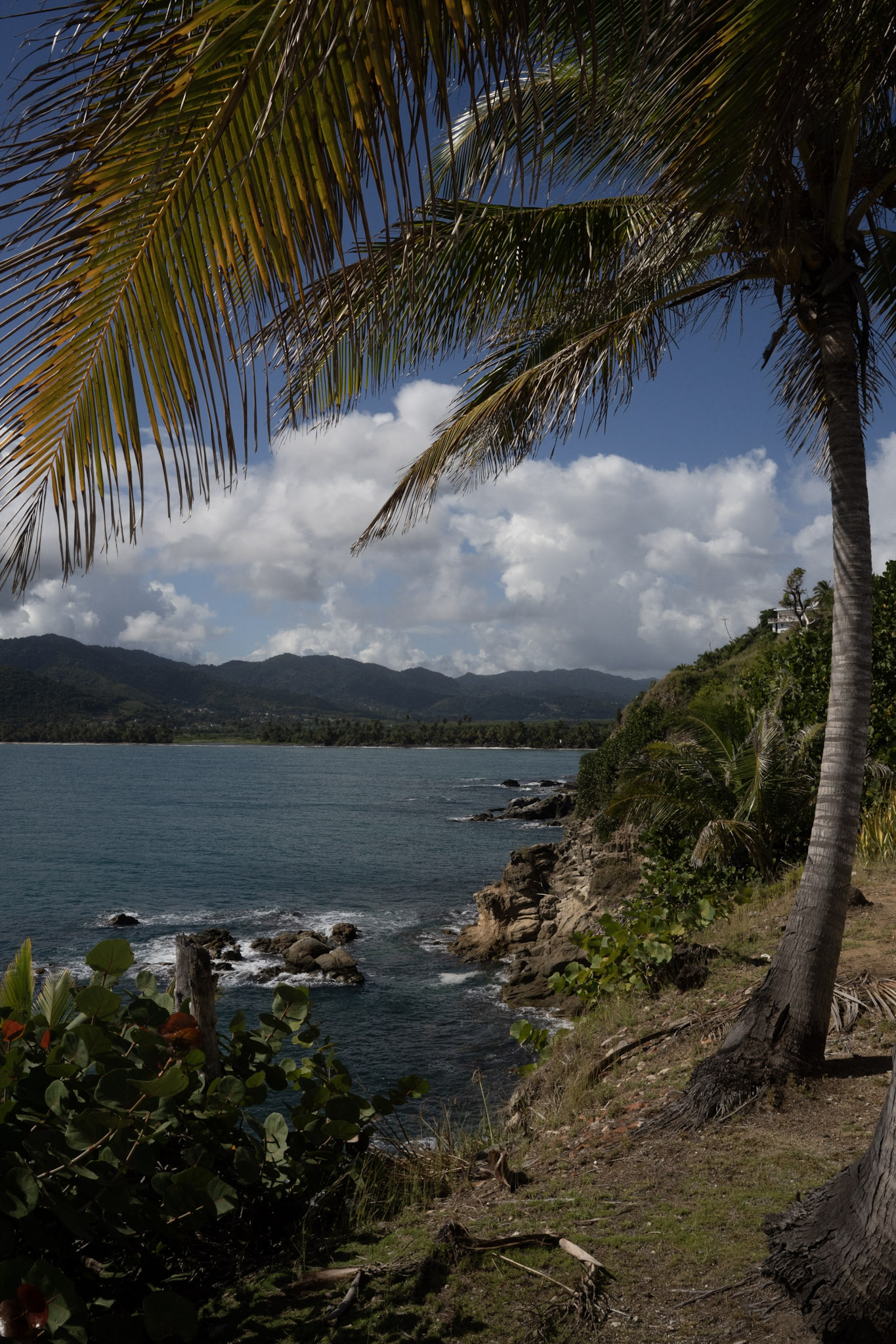 Maunabo - foto 56