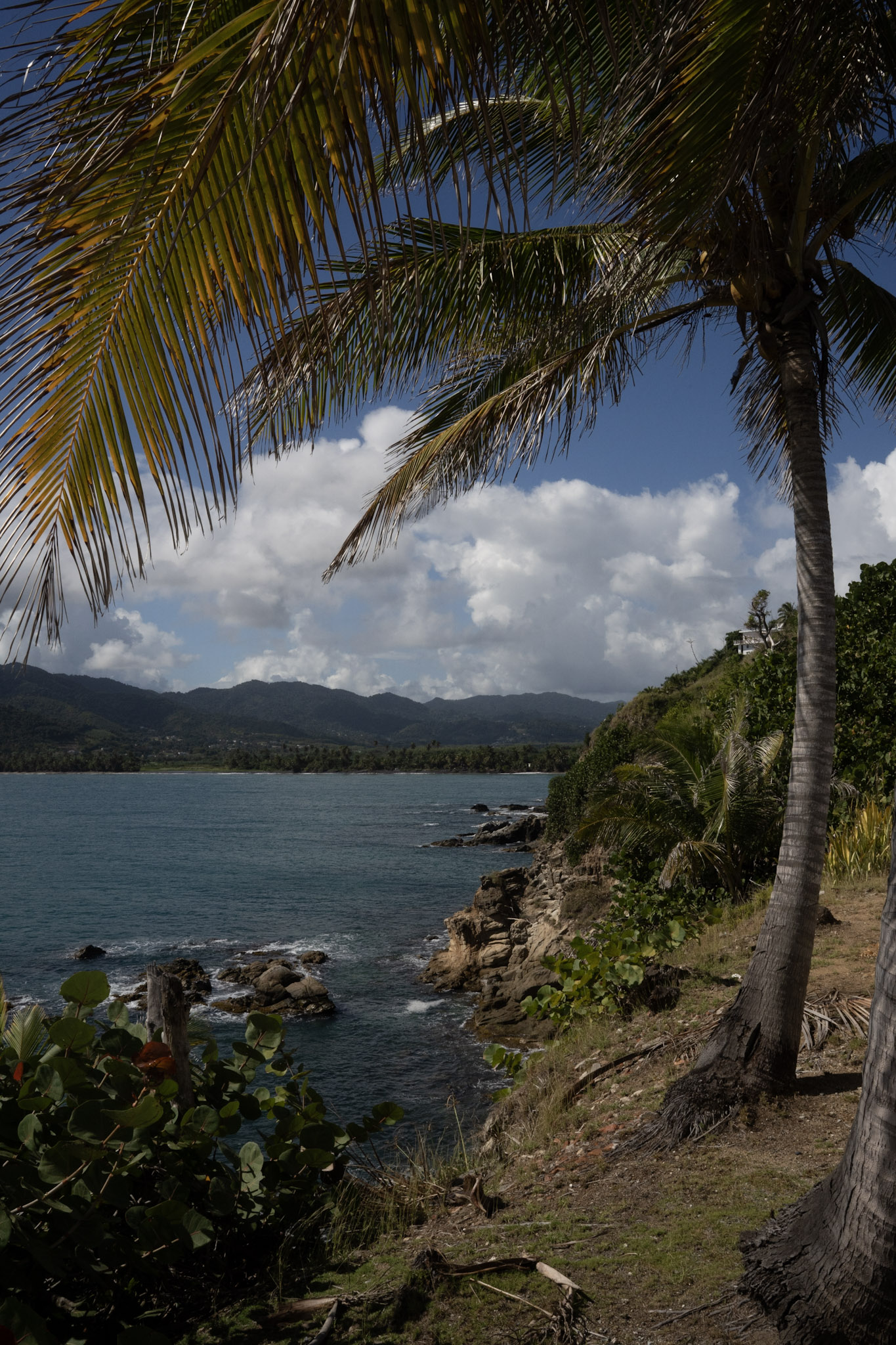 Maunabo - foto 57