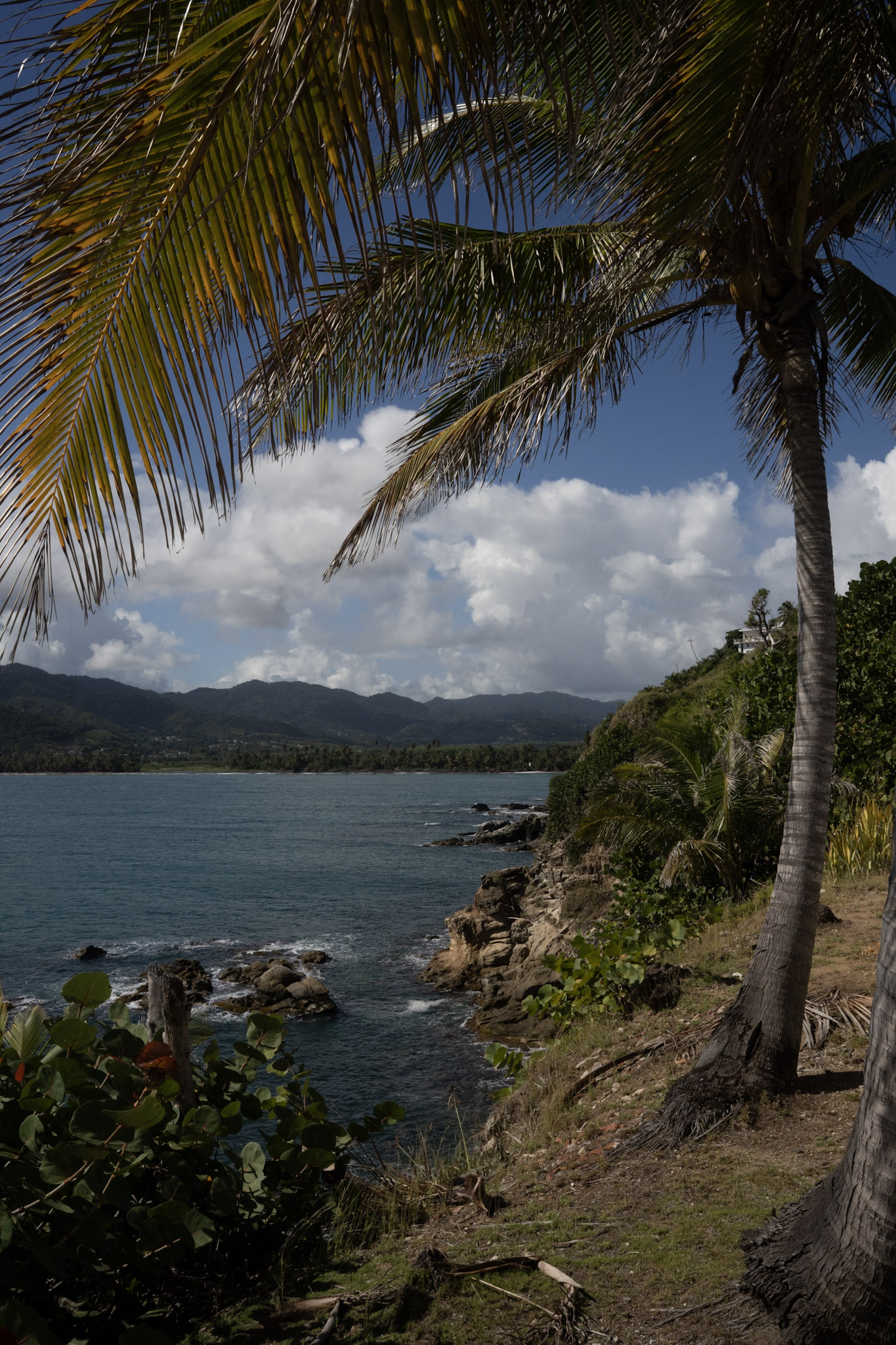 Maunabo - foto 58