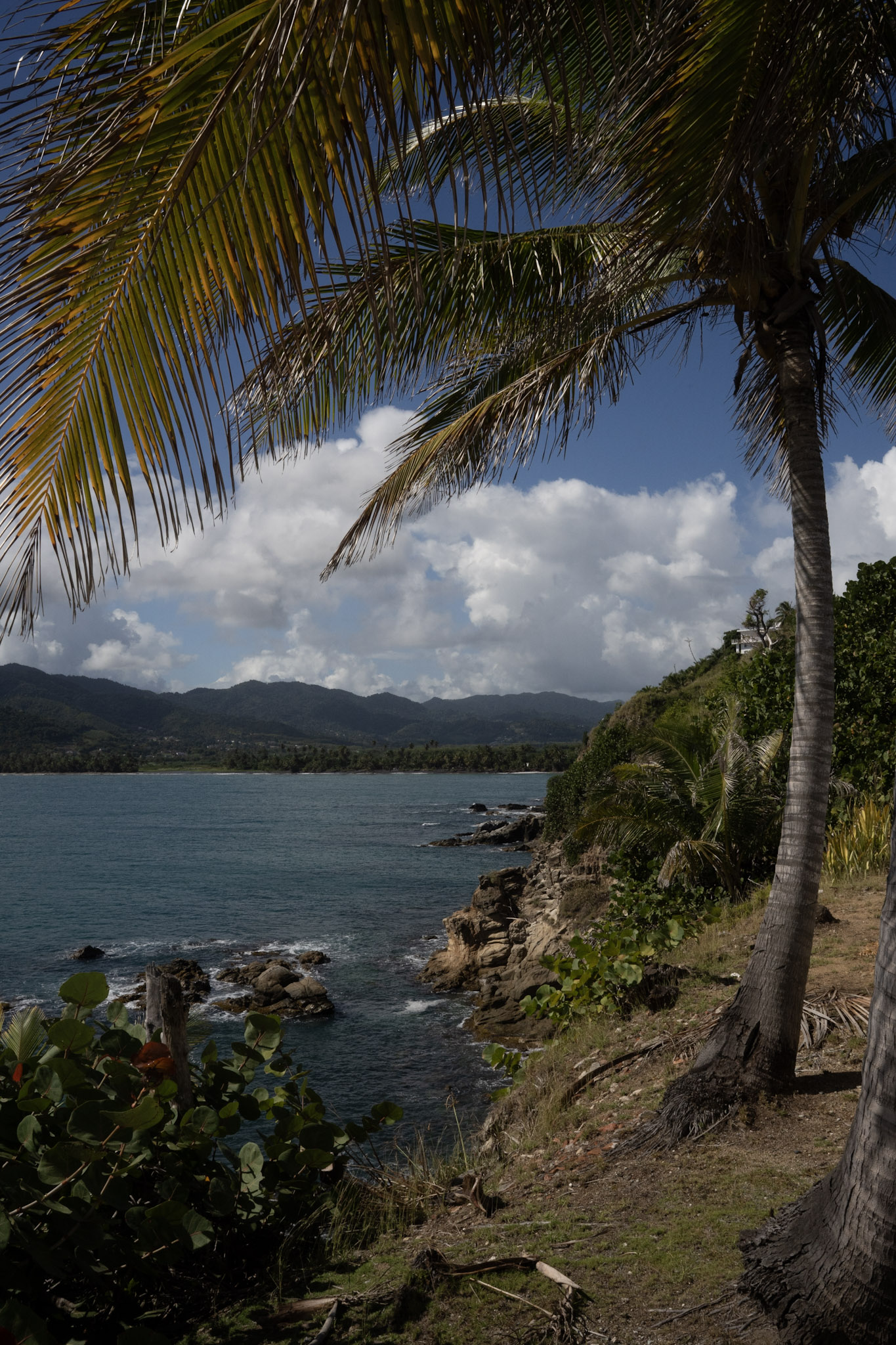 Maunabo - foto 59