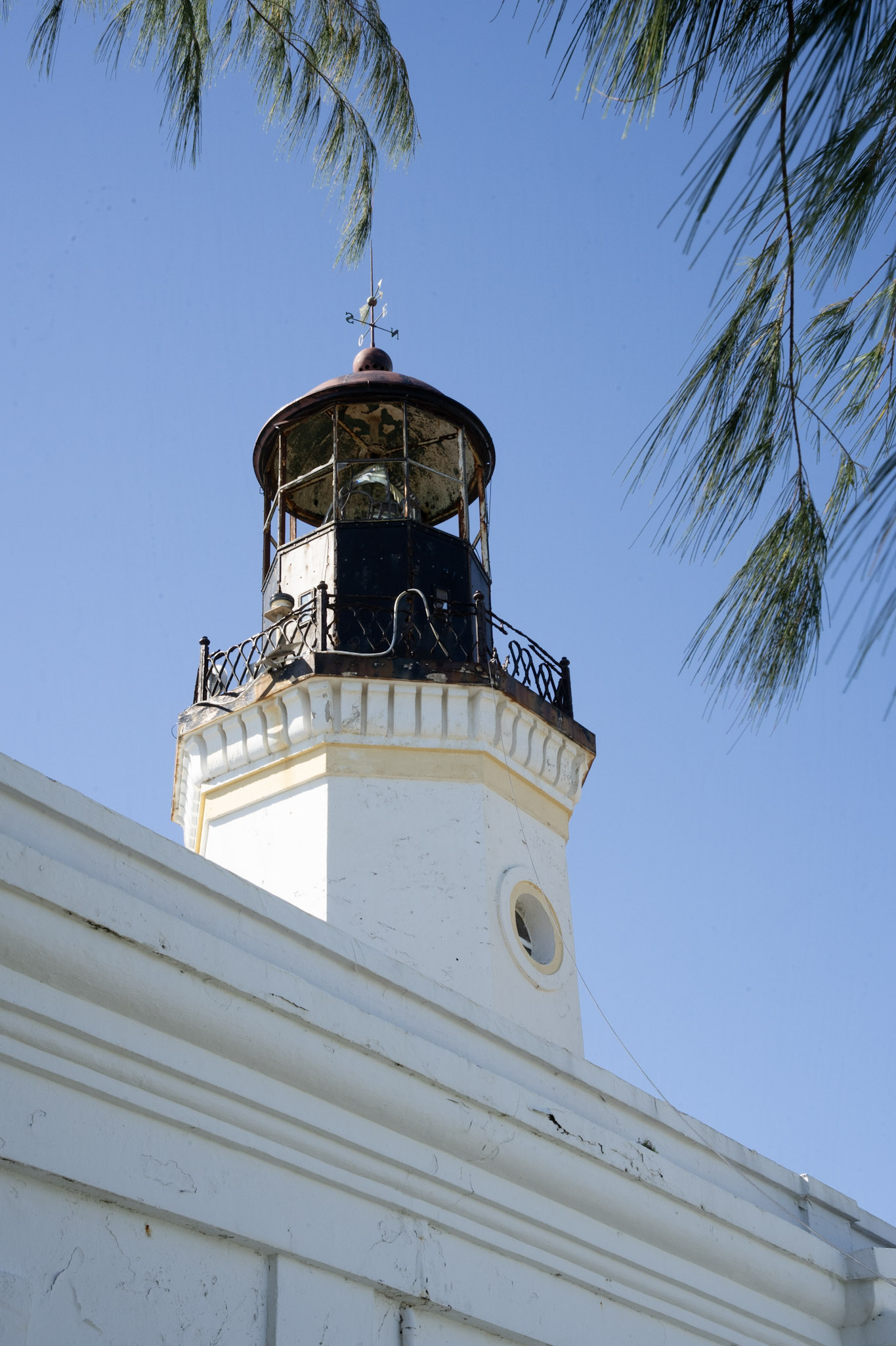 Maunabo - foto 63
