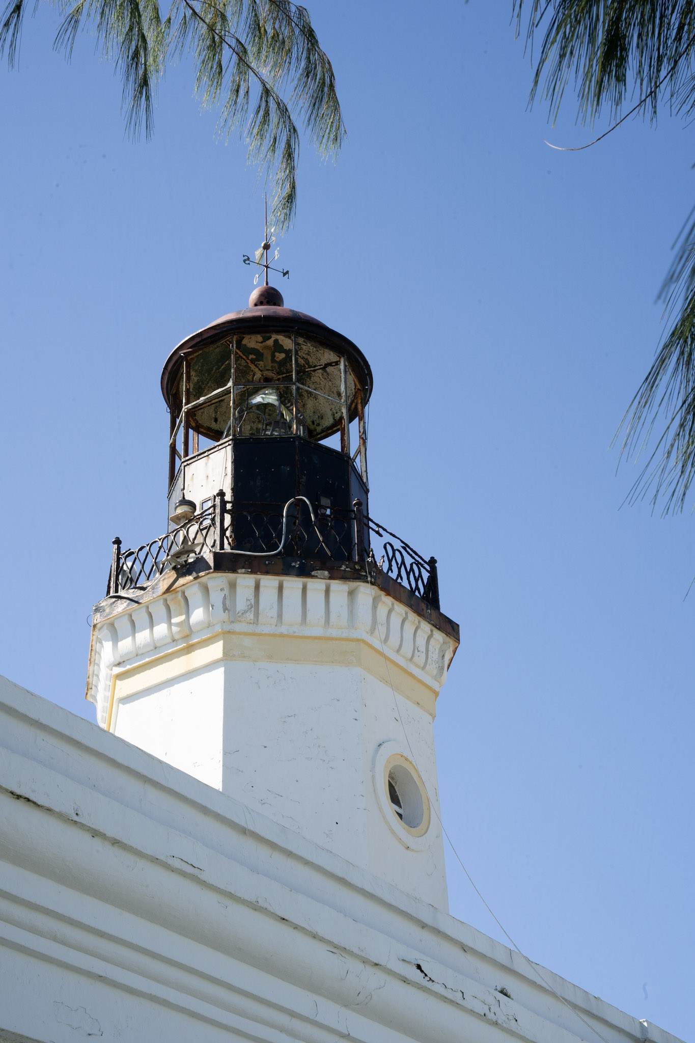 Maunabo - foto 66