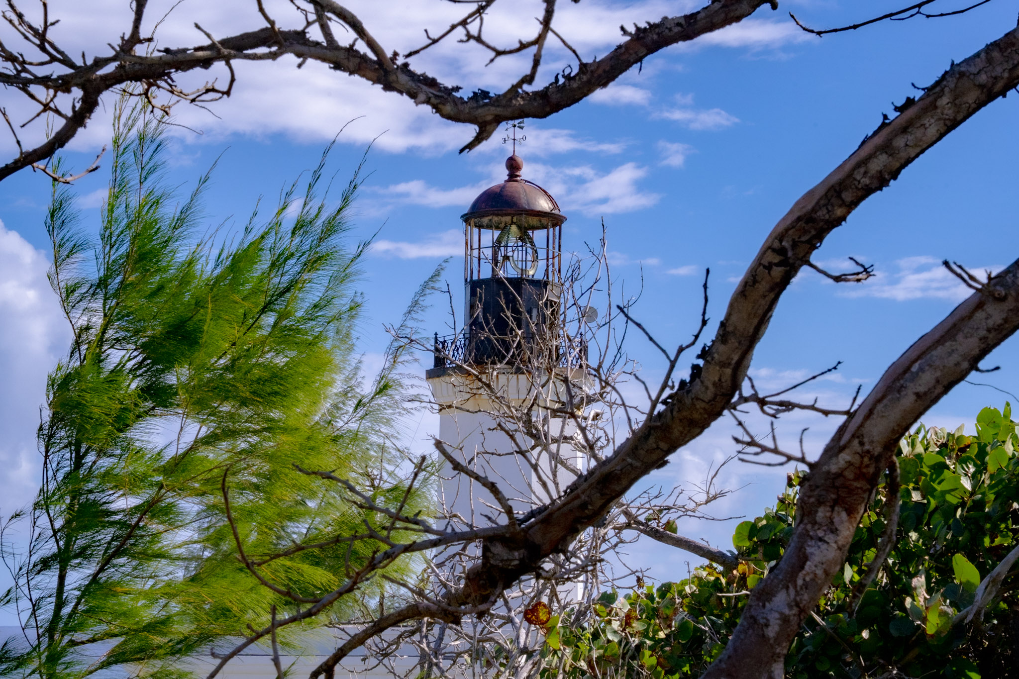 Maunabo - foto 78