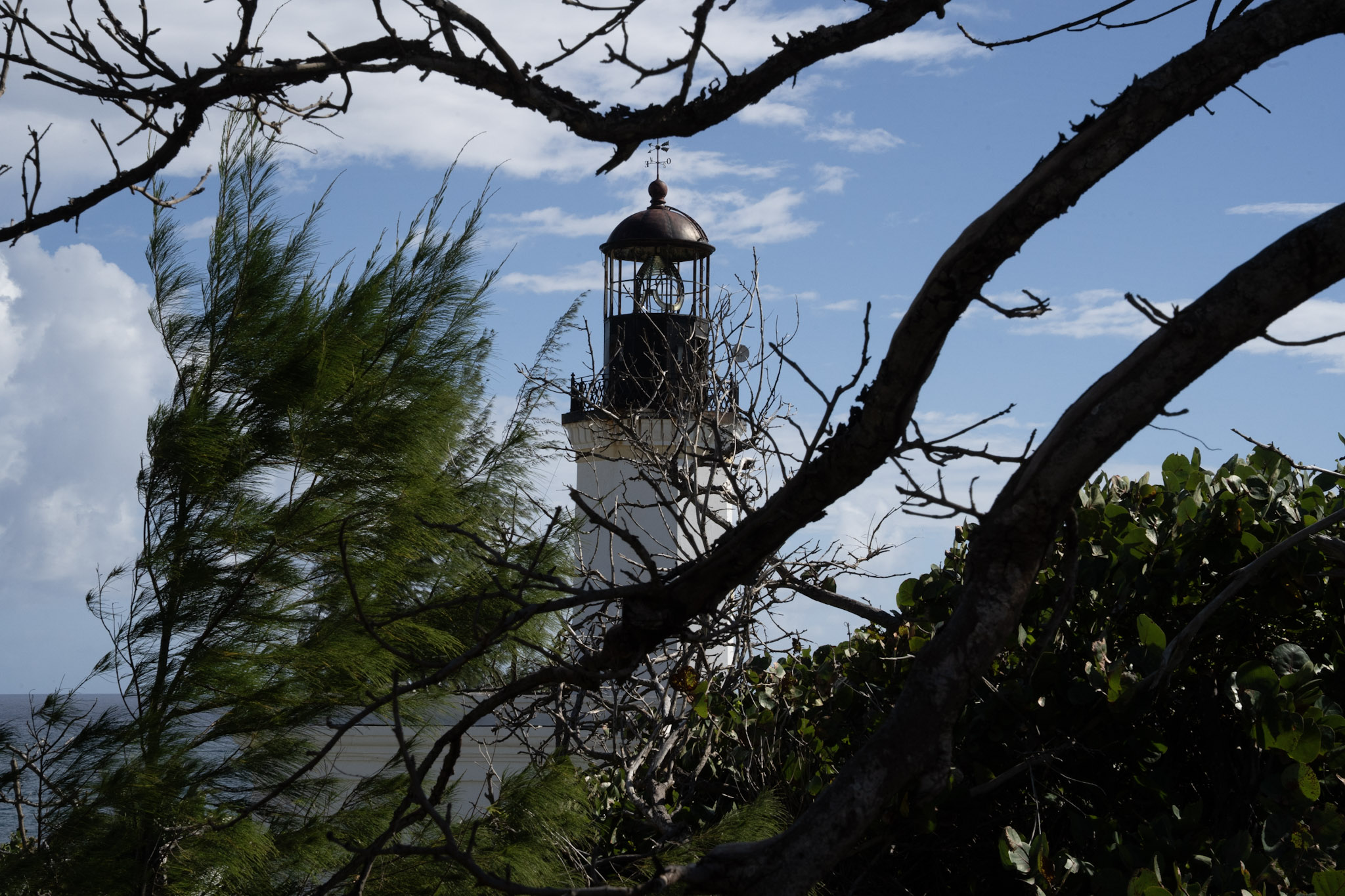 Maunabo - foto 79