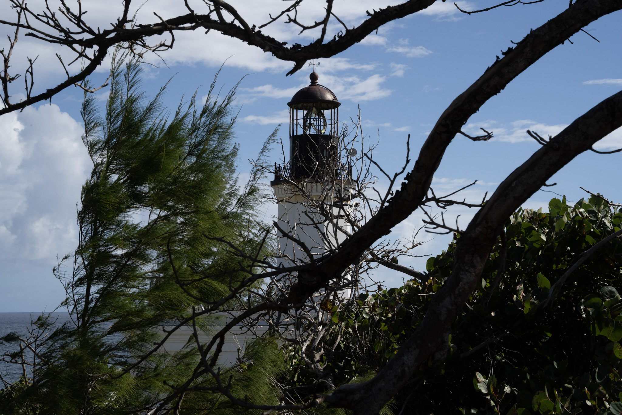Maunabo - foto 81