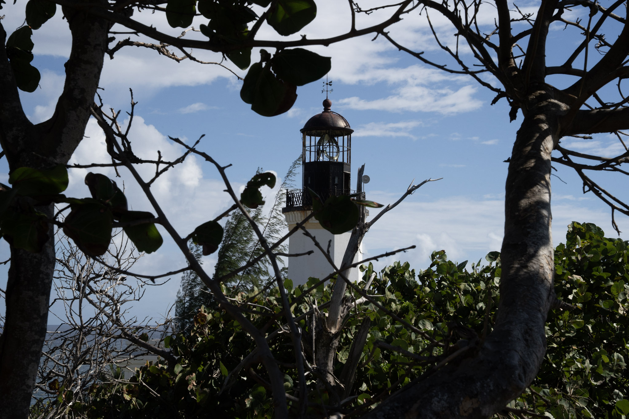 Maunabo - foto 83