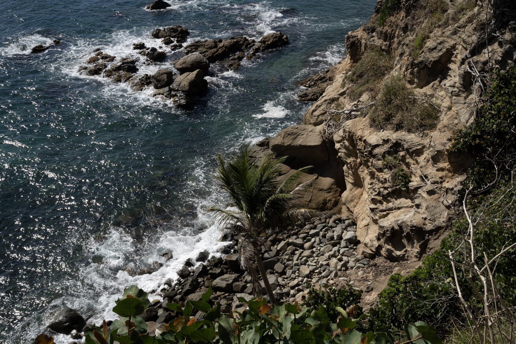 Maunabo - foto 84