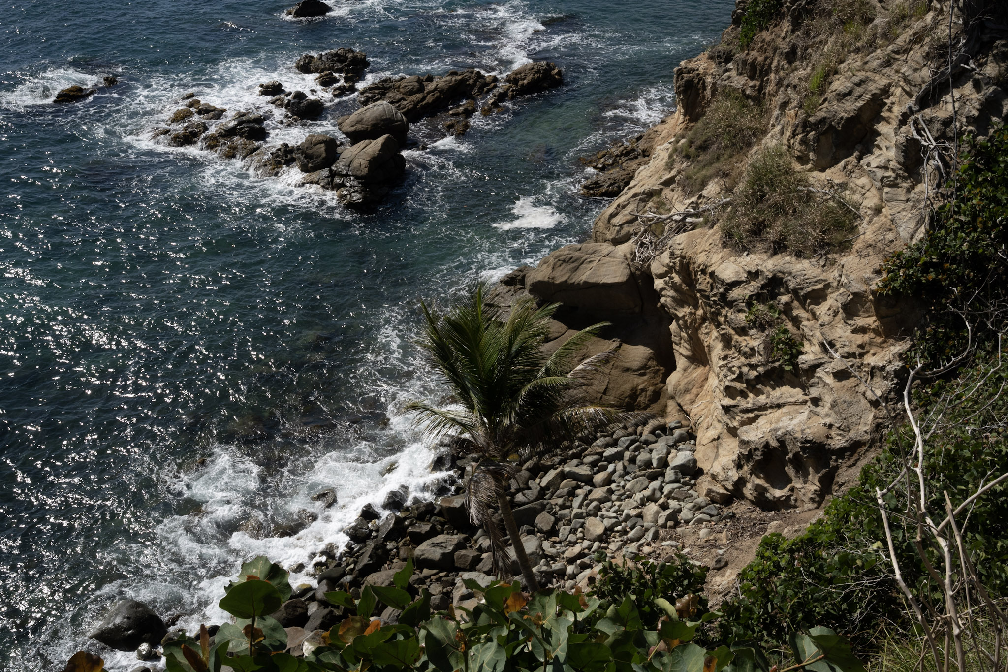 Maunabo - foto 86