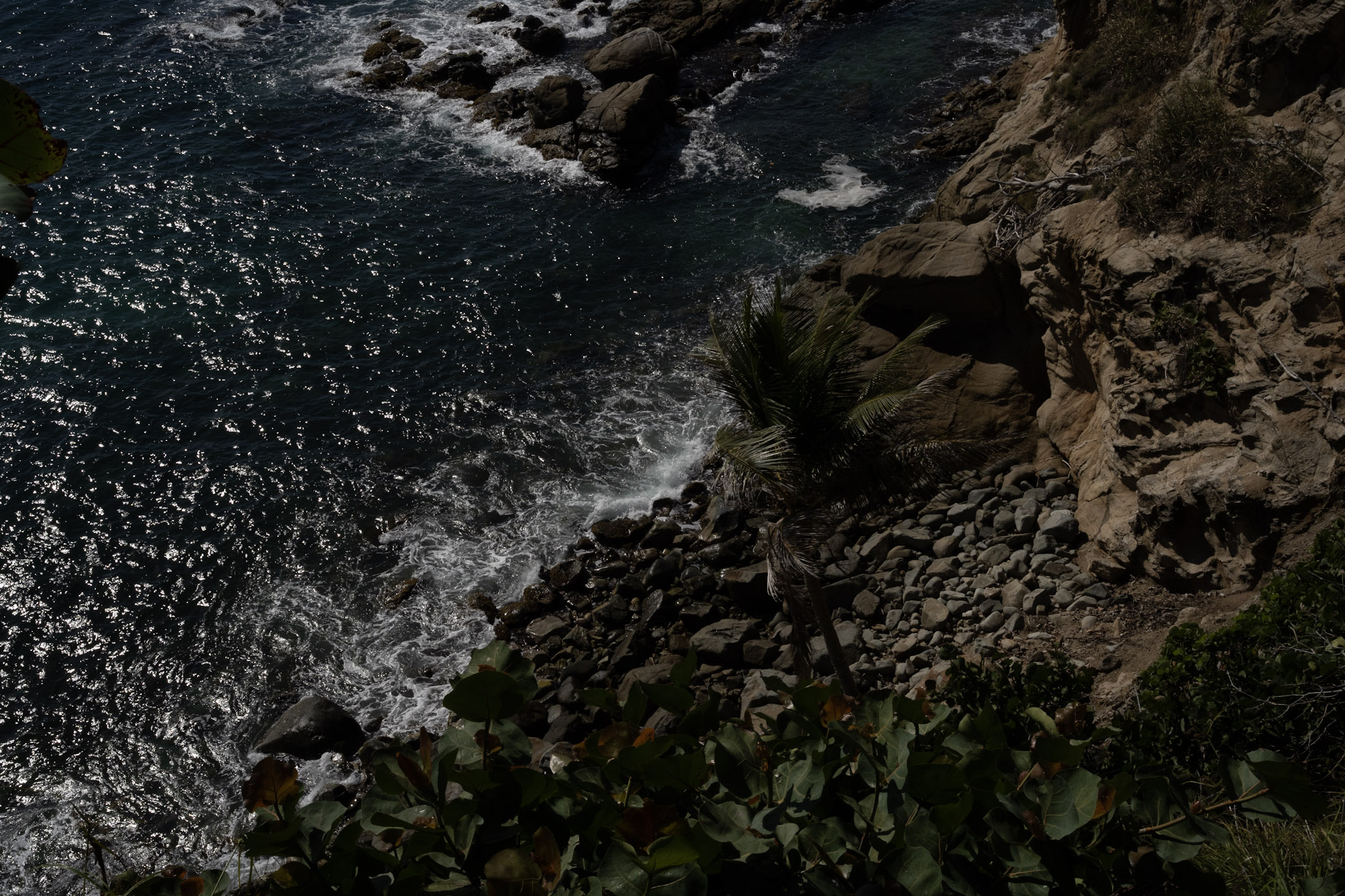 Maunabo - foto 90