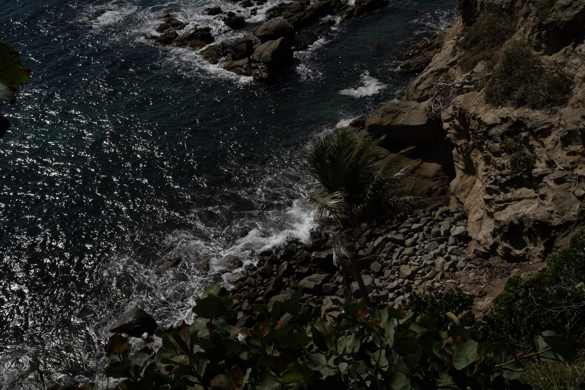 Maunabo - foto 92