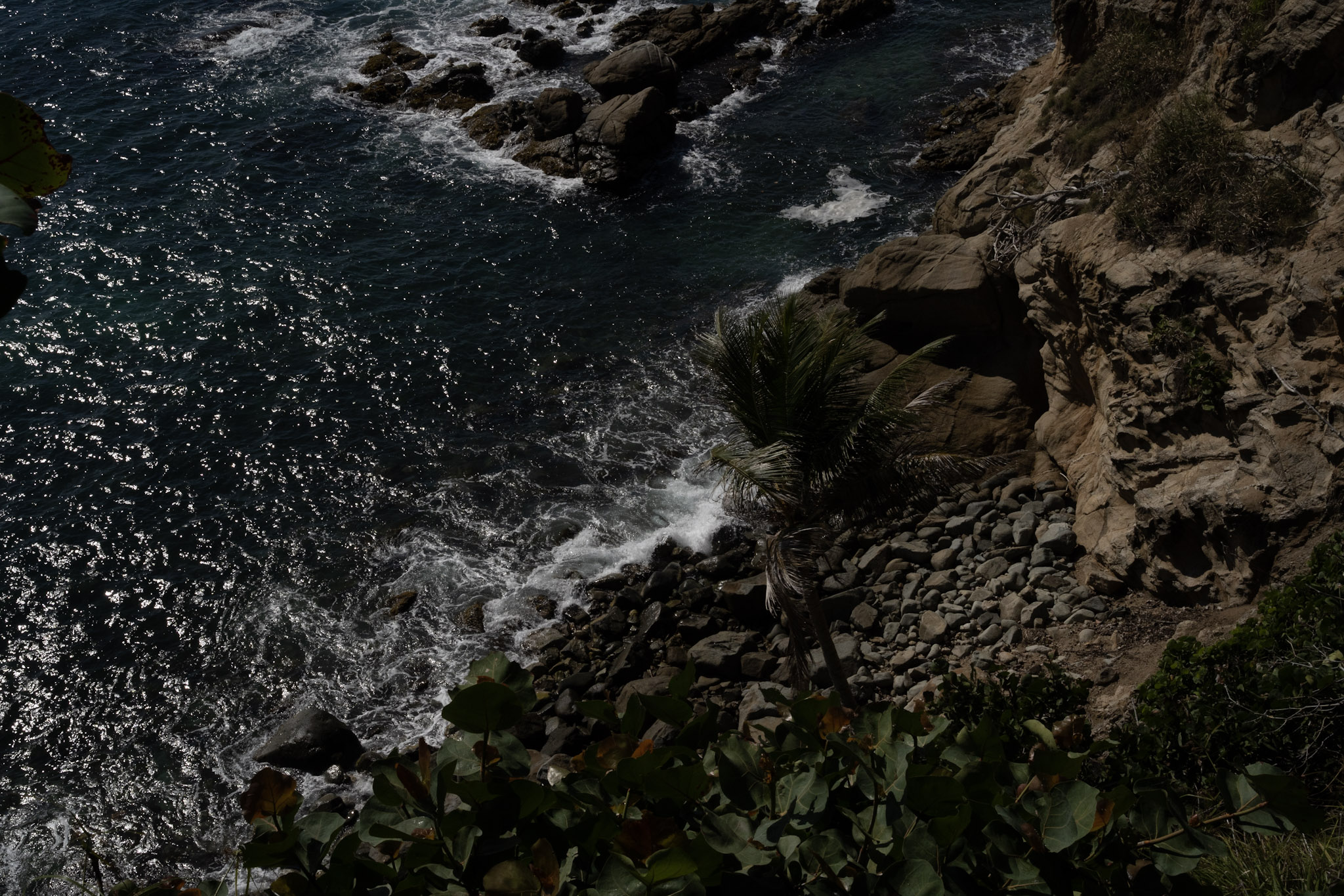 Maunabo - foto 93