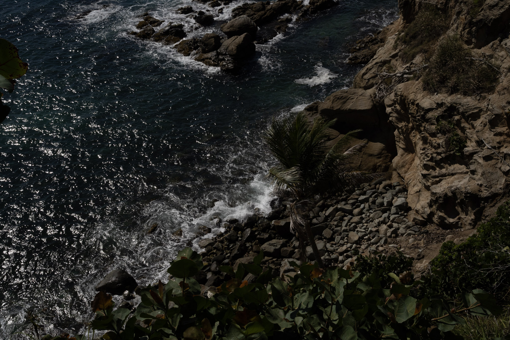 Maunabo - foto 96