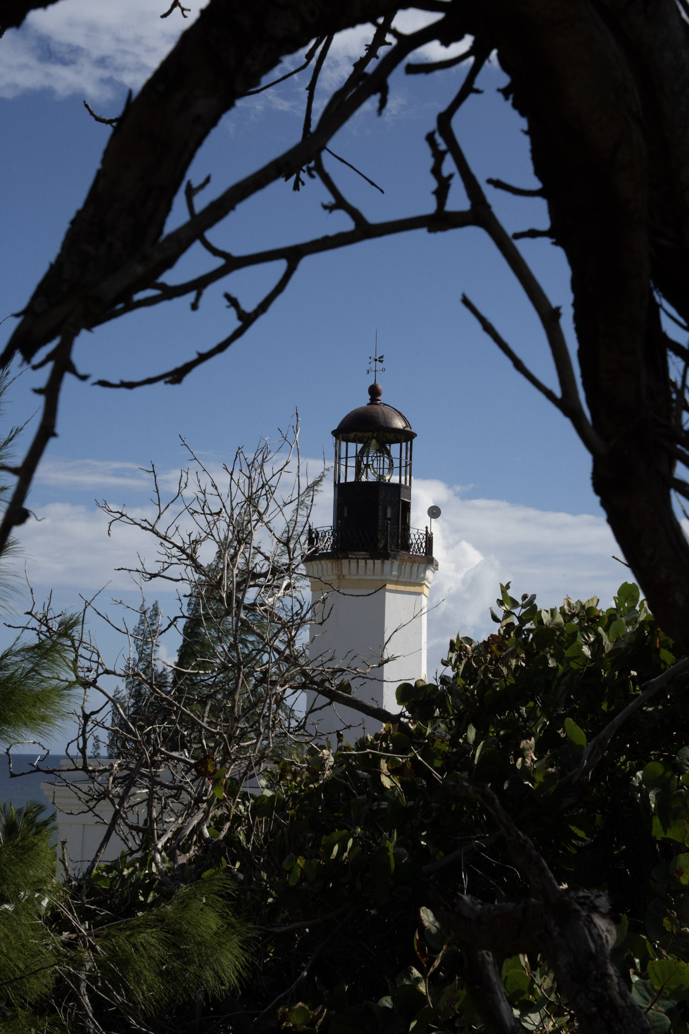 Maunabo - foto 108