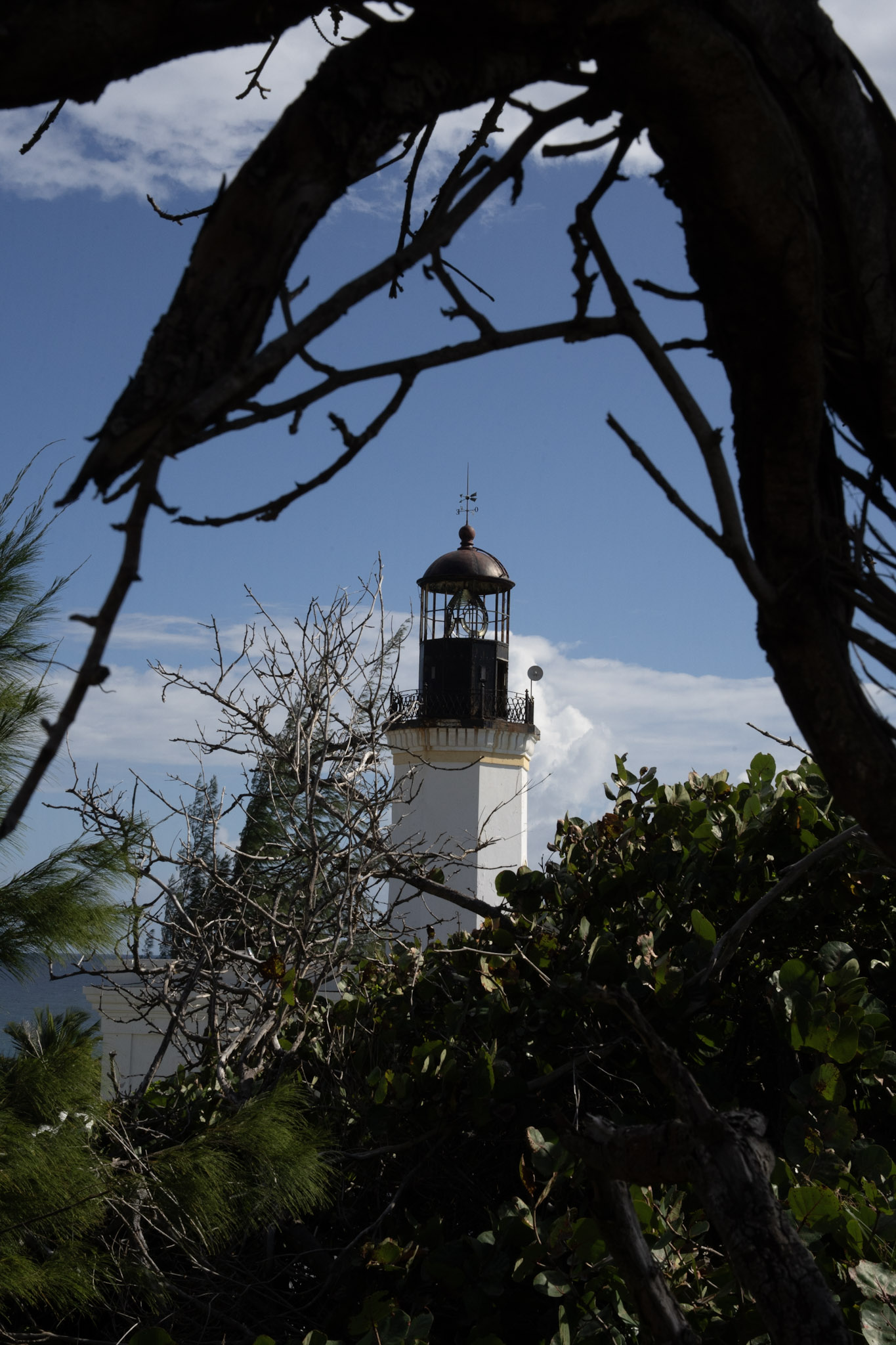 Maunabo - foto 109