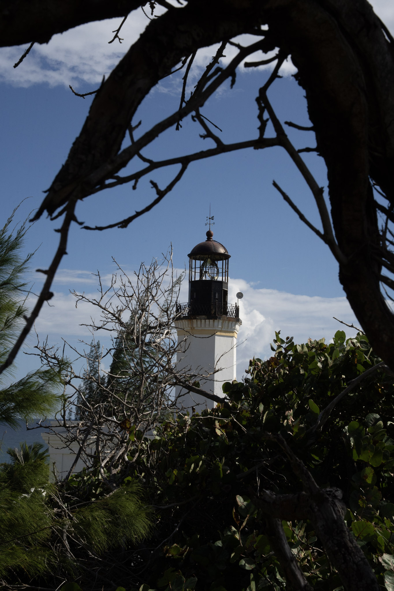 Maunabo - foto 110