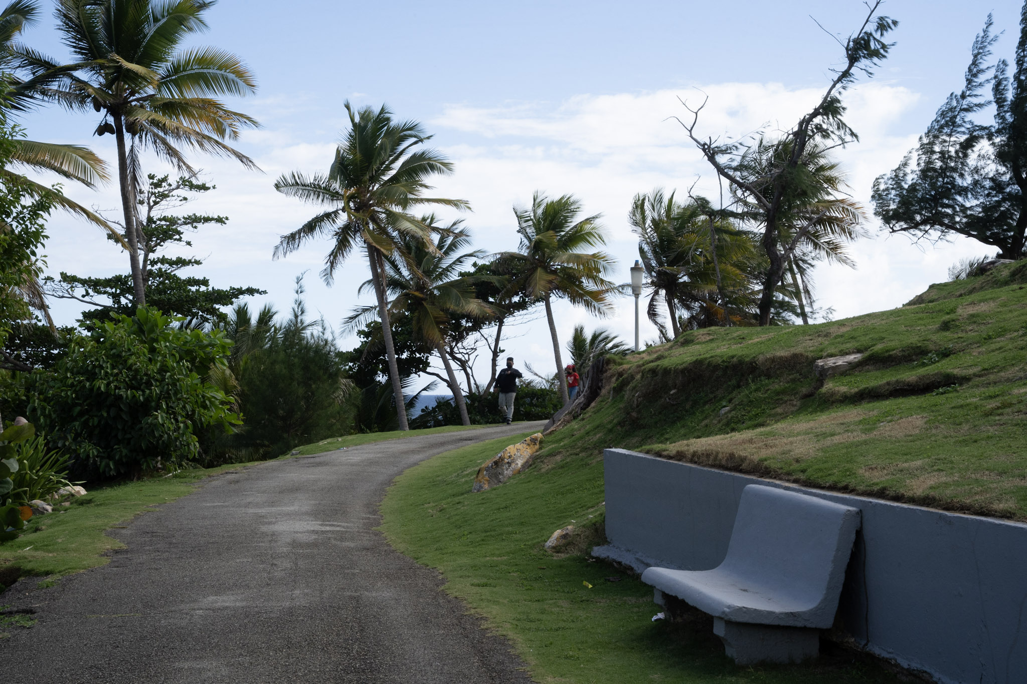 Maunabo - foto 111