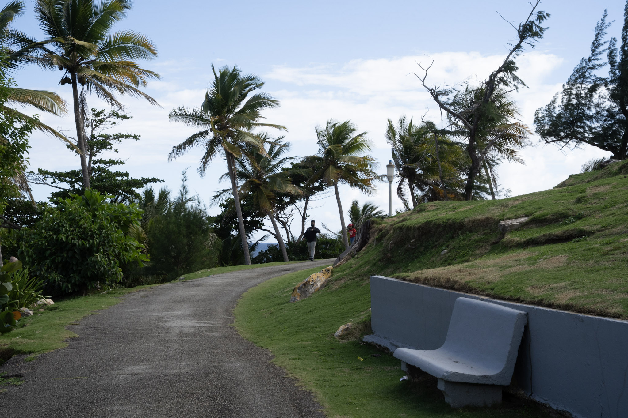 Maunabo - foto 112