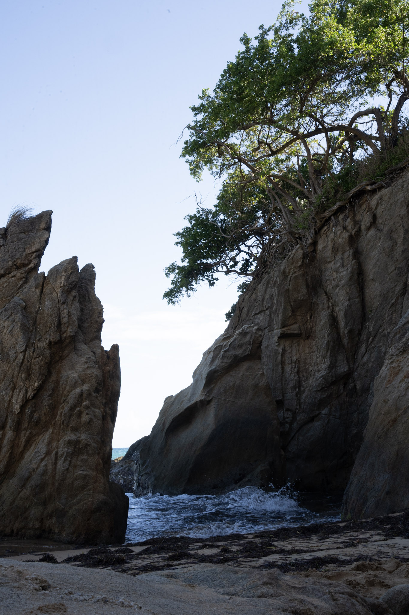 Maunabo - foto 199