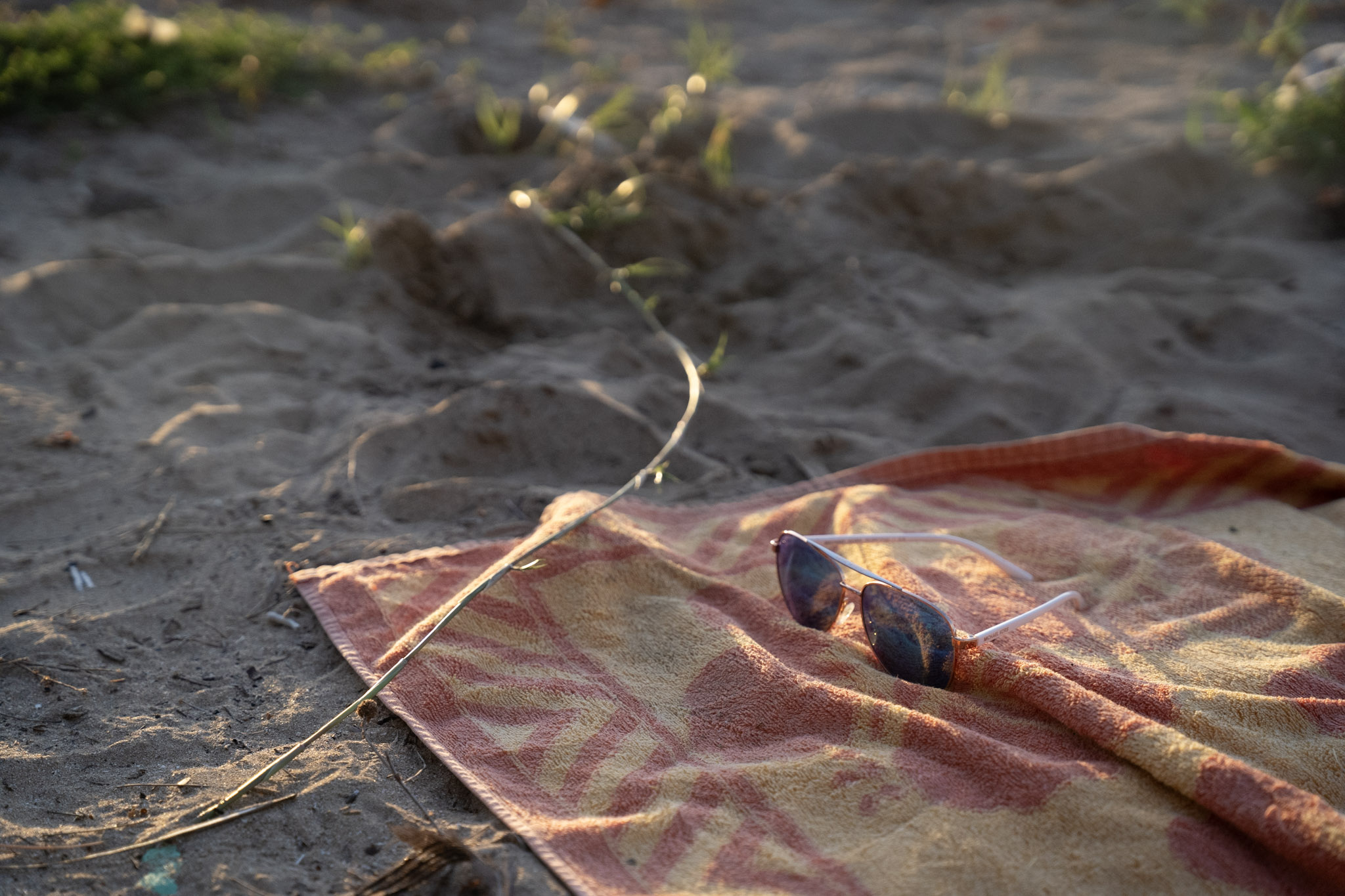 2022-12-23_Luquillo - foto 65