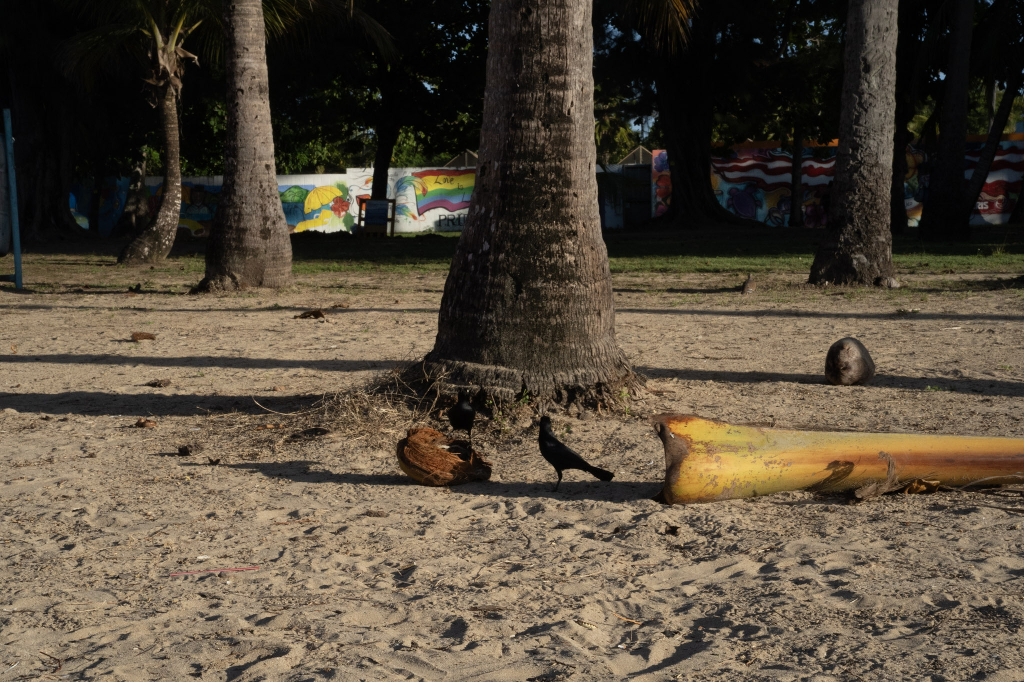 Luquillo - foto 52