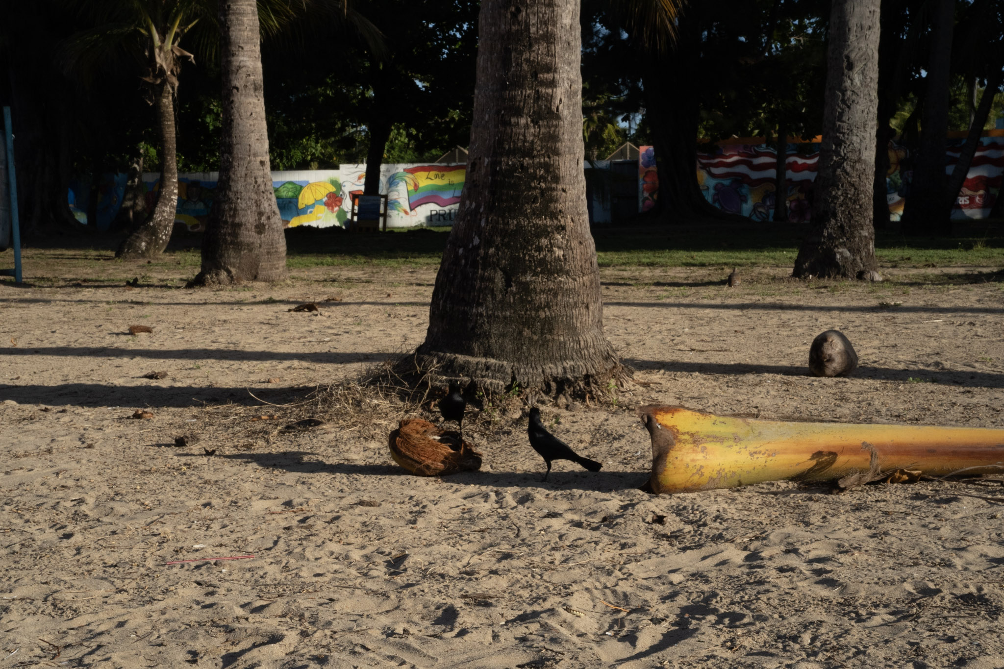 Luquillo - foto 53