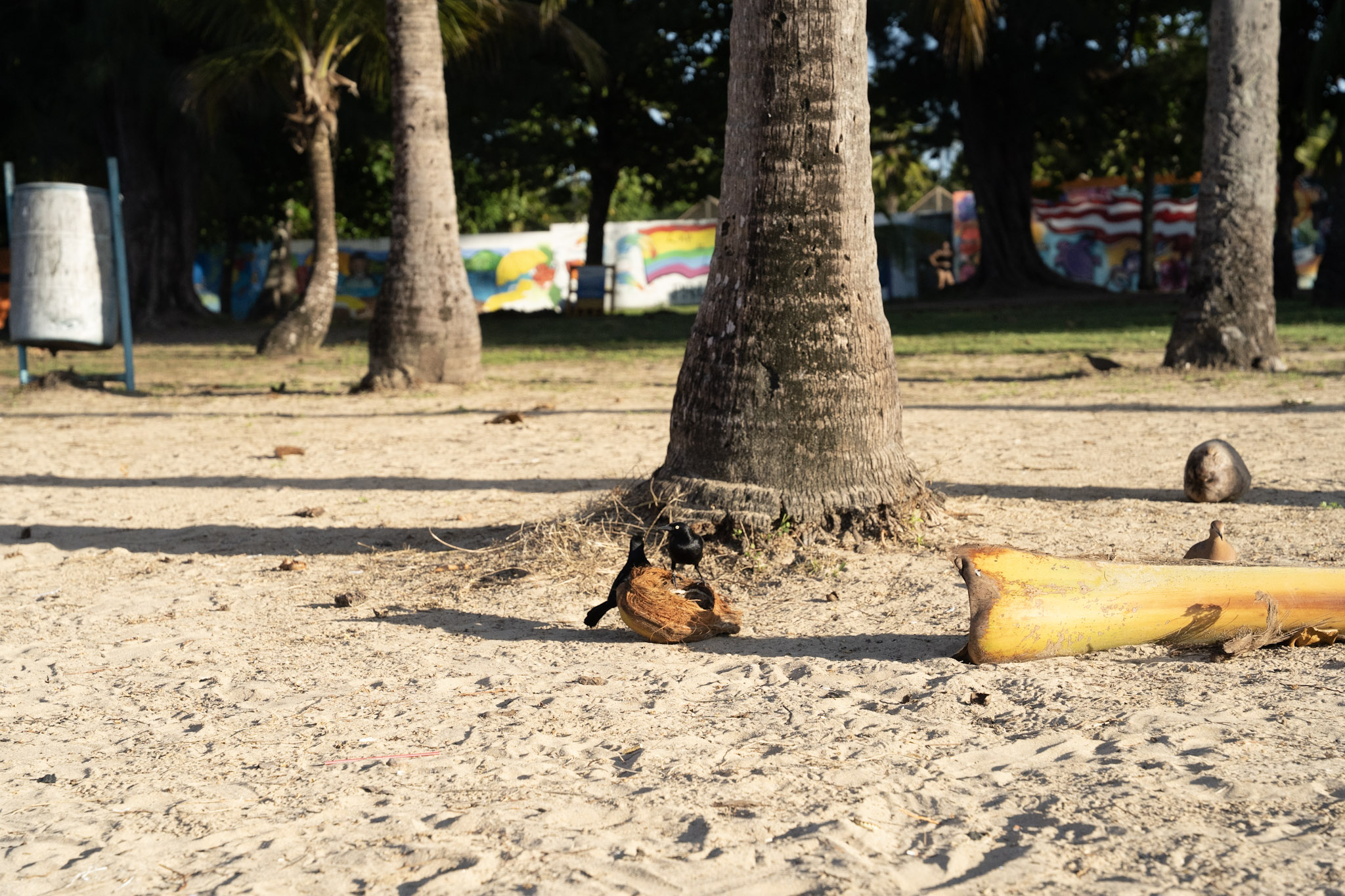 Luquillo - foto 54