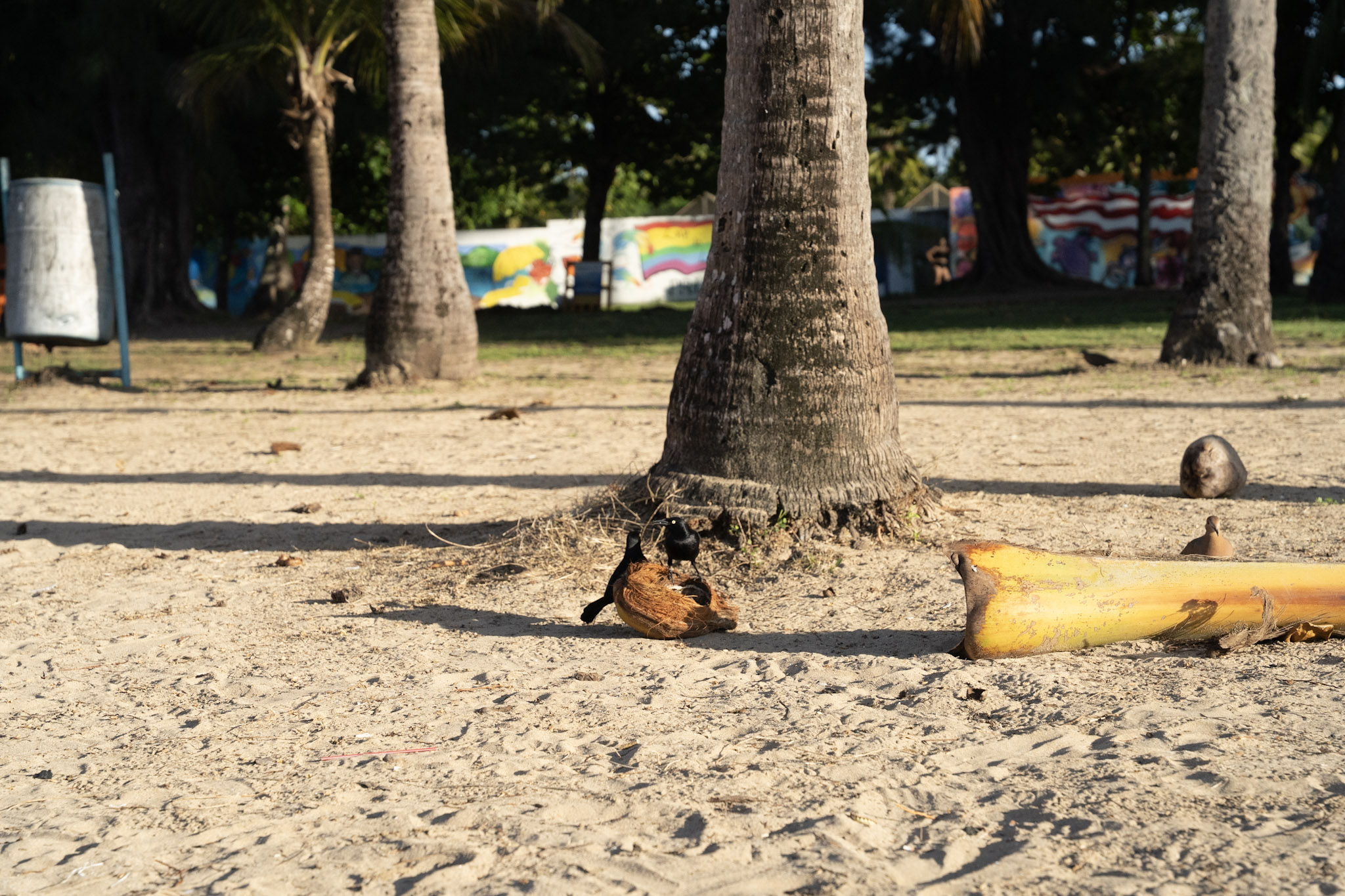 Luquillo - foto 55
