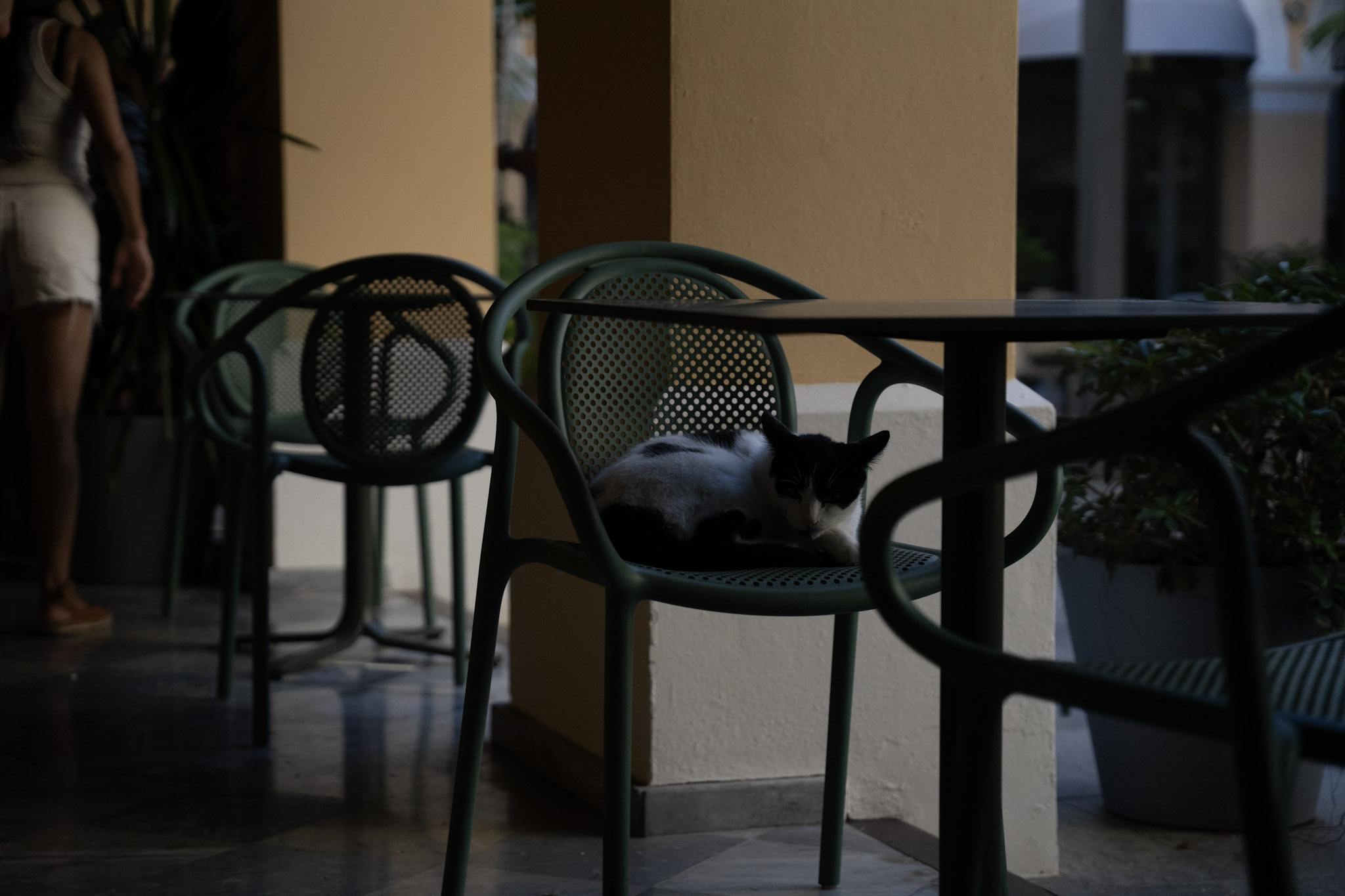 2022-12-24_San_Juan - foto 30