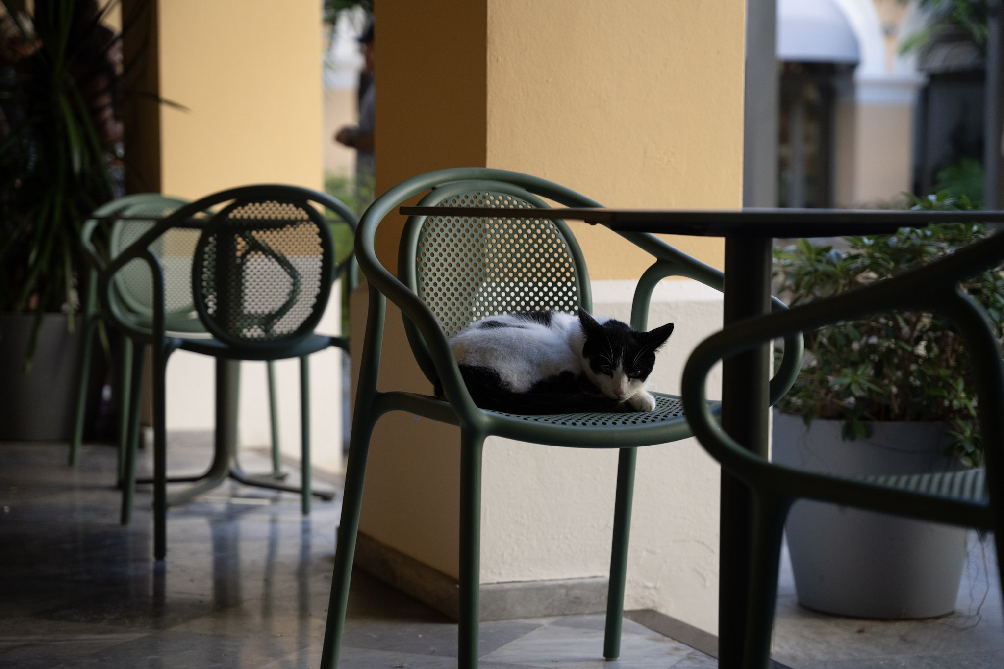 2022-12-24_San_Juan - foto 31