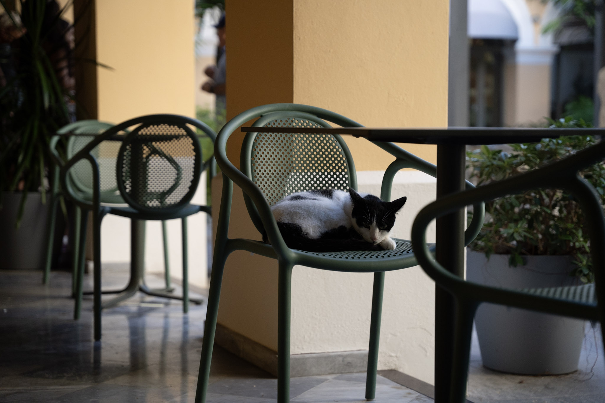 2022-12-24_San_Juan - foto 32