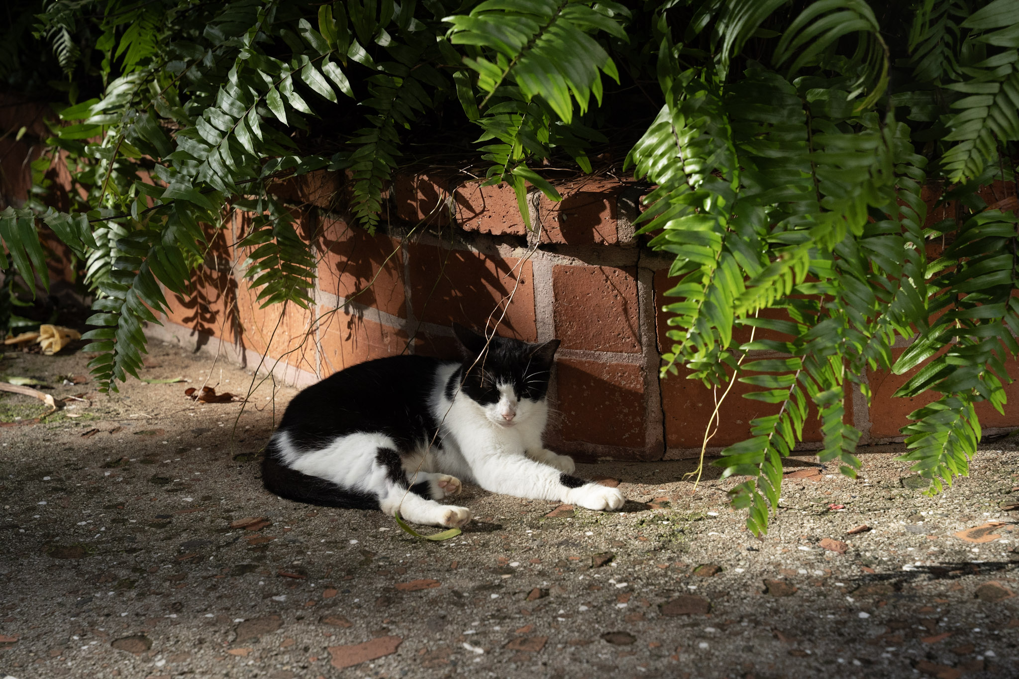 2022-12-24_San_Juan - foto 33