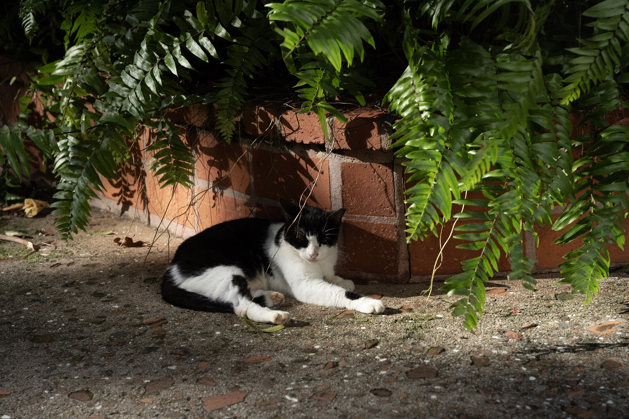 2022-12-24_San_Juan - foto 34