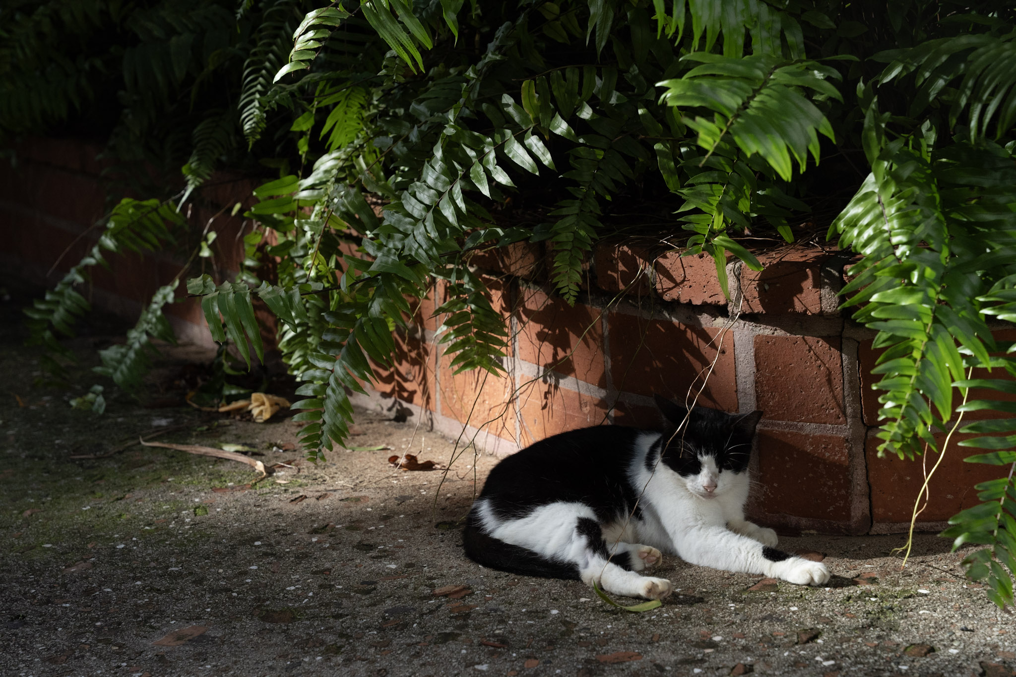 2022-12-24_San_Juan - foto 35