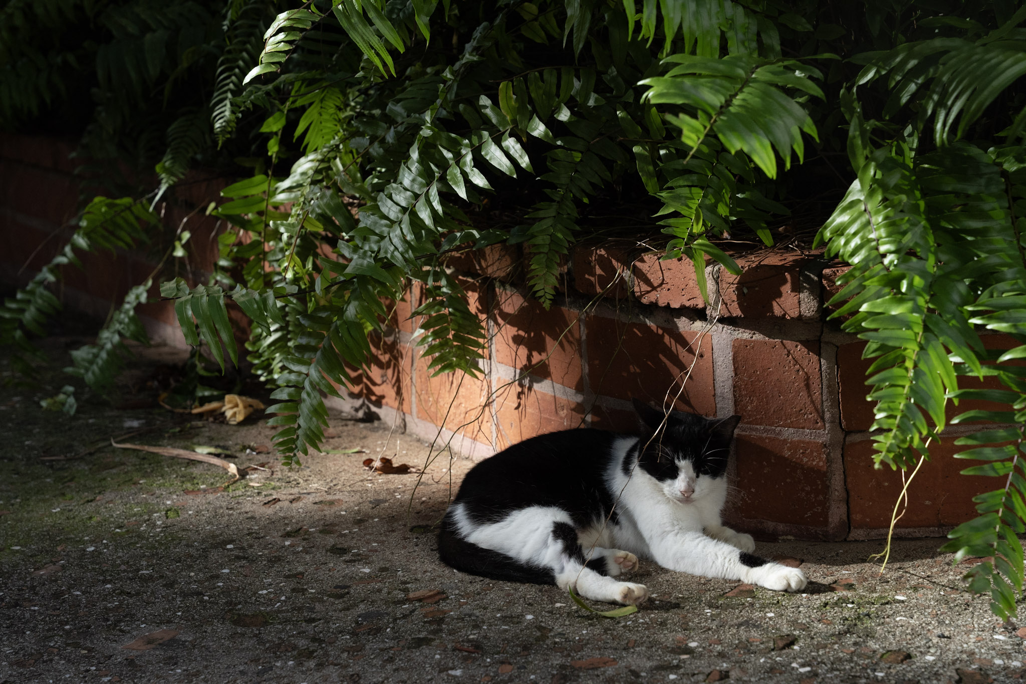 2022-12-24_San_Juan - foto 36