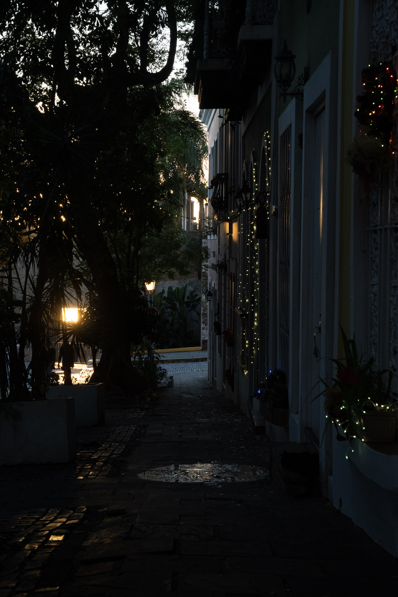 2022-12-24_San_Juan - foto 58